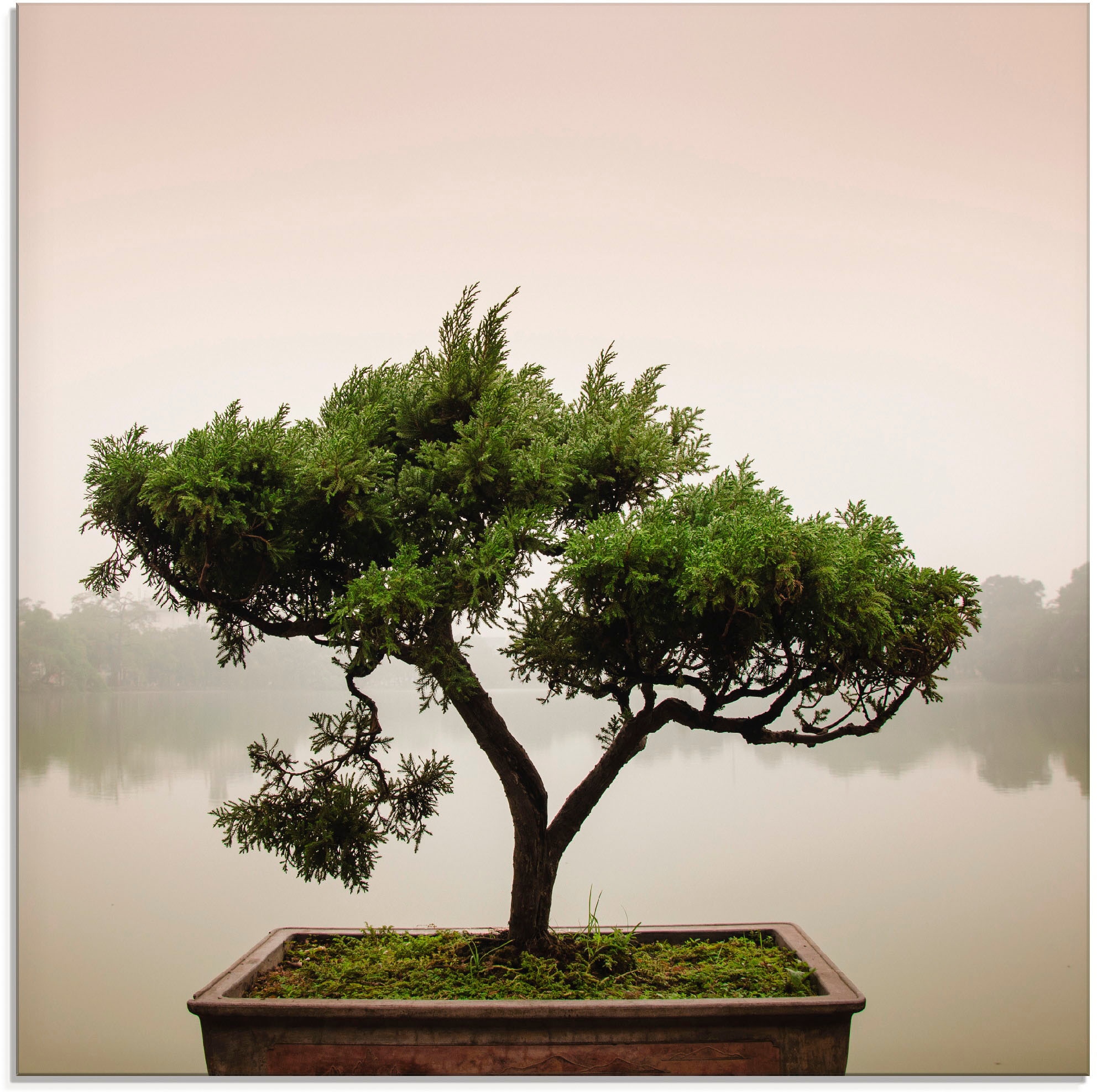 Bonsaibaum«, verschiedenen »Chinesischer bequem in Bäume, (1 Glasbild Artland kaufen Größen St.),