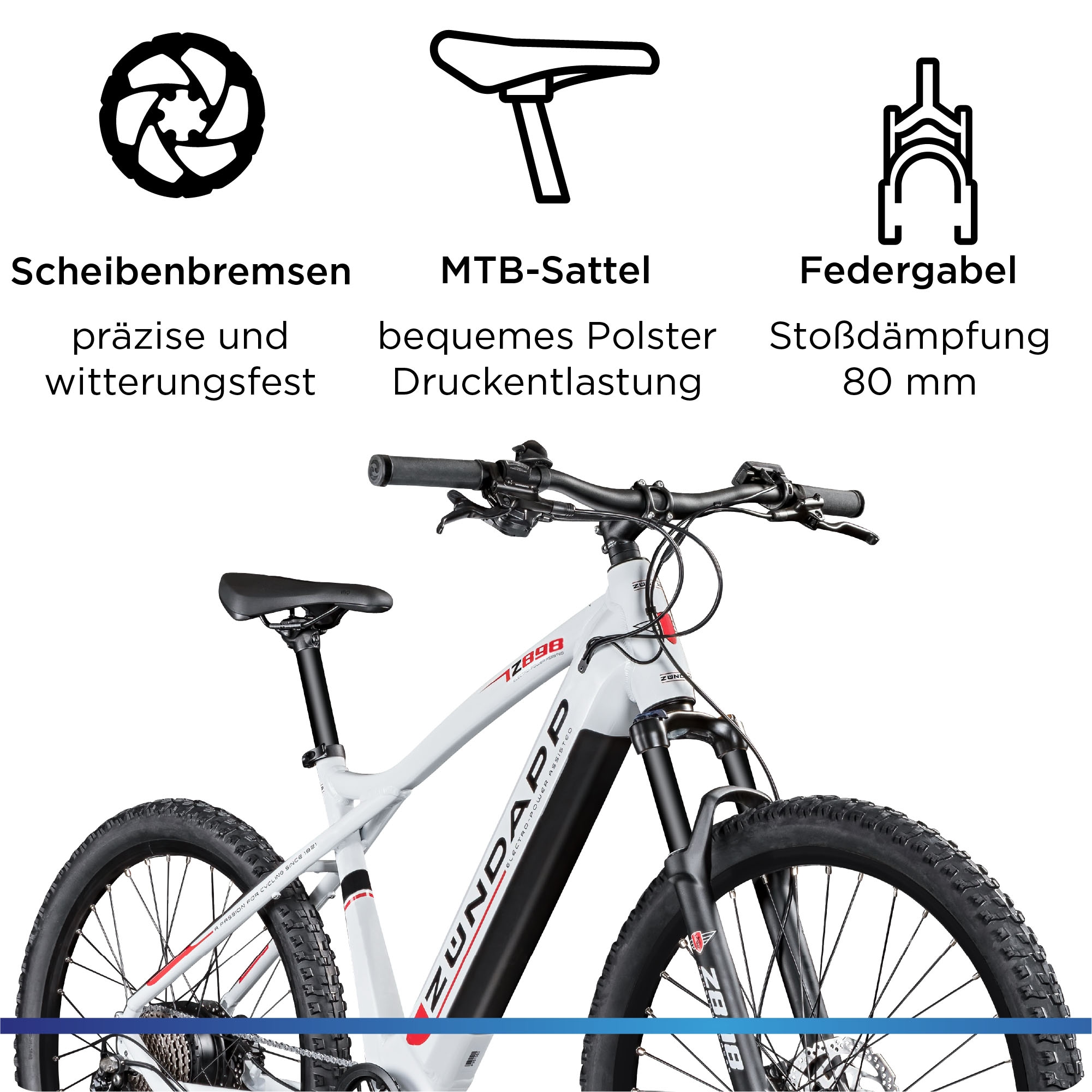 Zündapp »Z898« 10 Gang Kettenschaltung Heckmotor 250 W Pedelec, Elektrofahrrad für Damen u. Herren, MTB