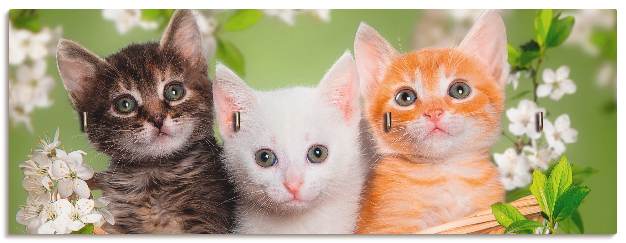 Artland Hakenleiste »Katzen sitzen in einem Korb«, MDF