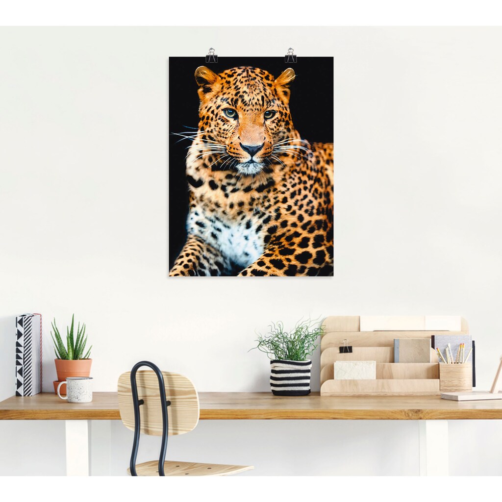 Artland Wandbild »Wütender wilder Leopard«, Wildtiere, (1 St.)