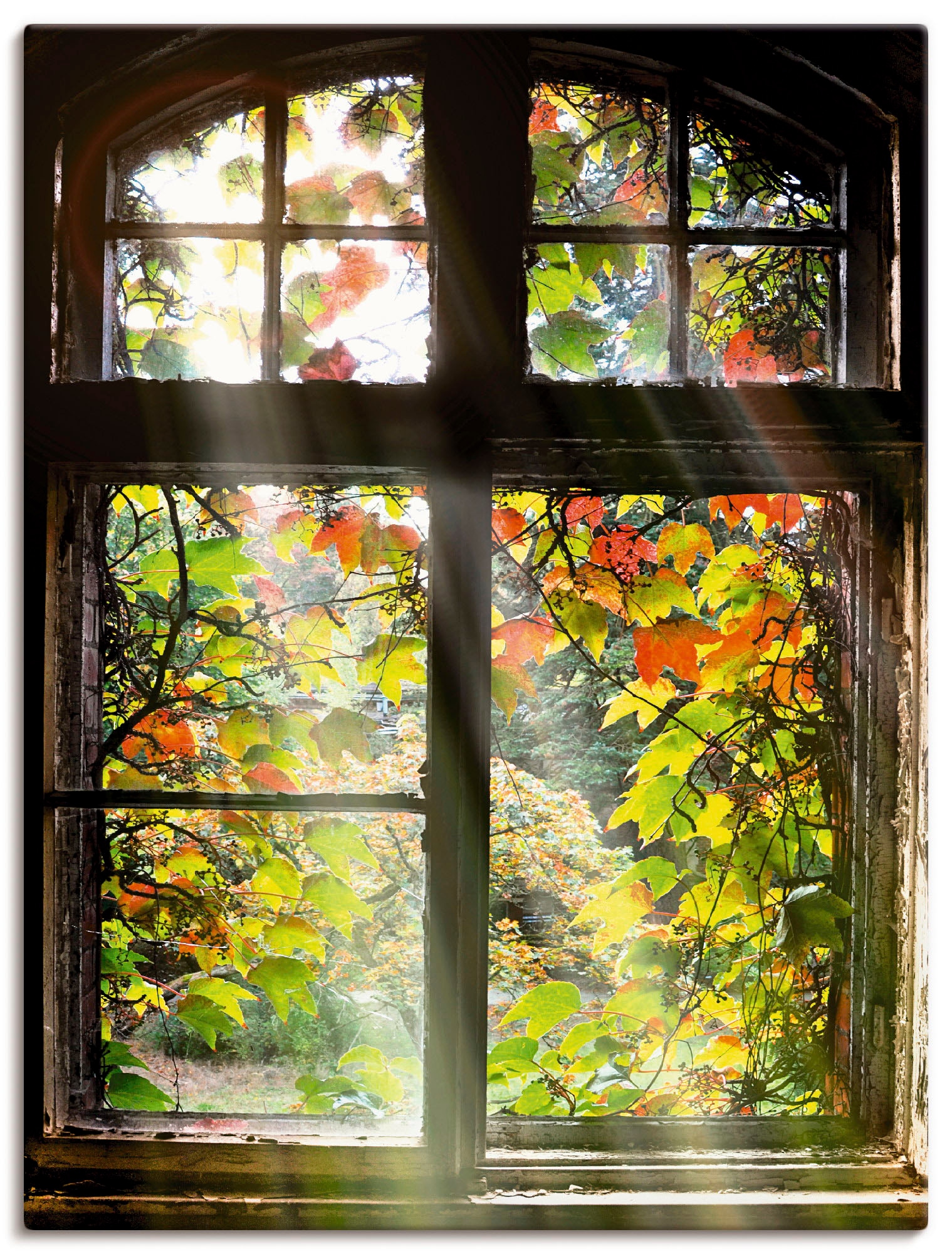 Alubild, versch. Wandaufkleber Fenster in St.), kaufen als Raten oder Türen, »Altbau«, Poster (1 Artland Leinwandbild, & Größen auf Wandbild