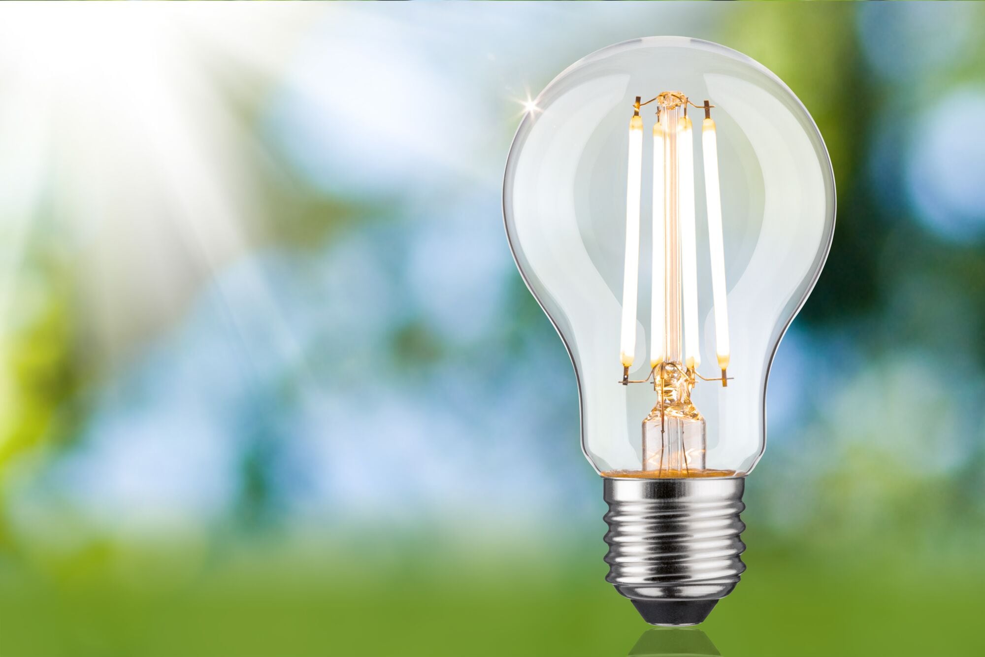 Paulmann LED-Leuchtmittel »Eco-Line Filament 230V LED Birne E27 1521lm 8,2W 3000K dimmbar Klar« E27 1 Stk. Warmweiß