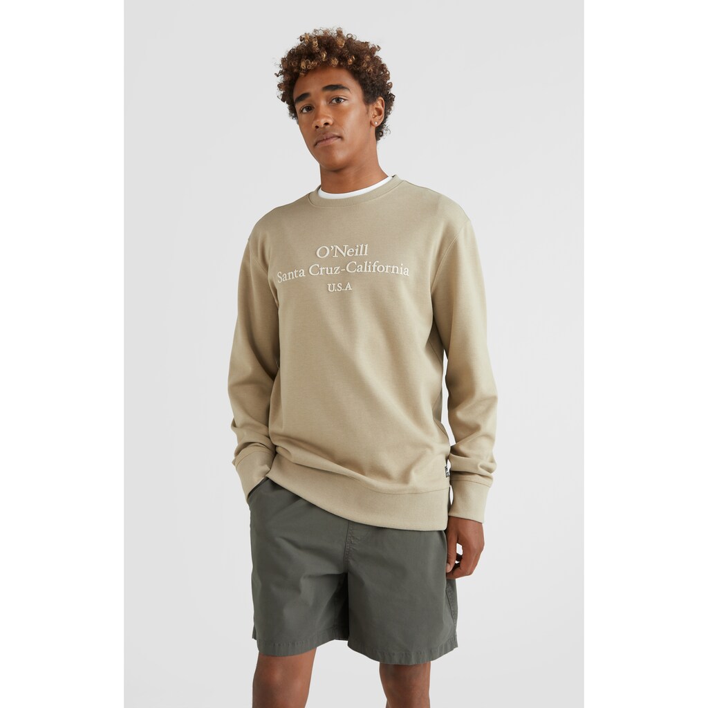 O'Neill Sweatshirt