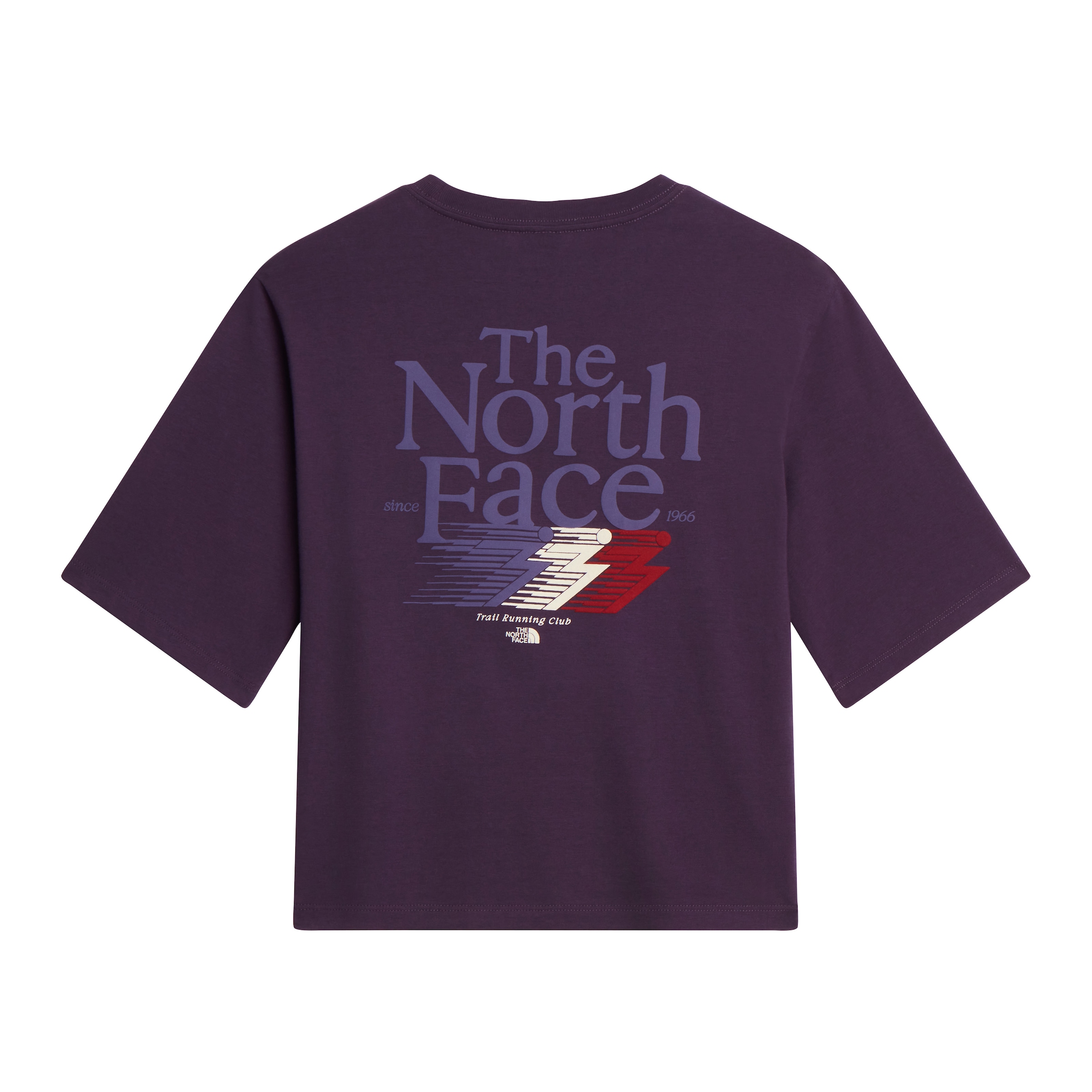 The North Face T-Shirt »W RETRO TRAIL BOXY SS TEE-GRAPHIC«