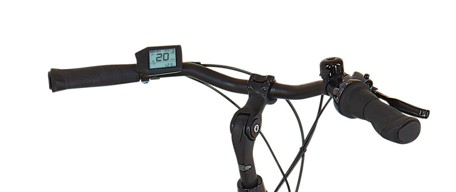 Prophete »Geniesser 3.8« 7 Gang Shimano Nexus Schaltwerk Nabenschaltung Mittelmotor 250 W