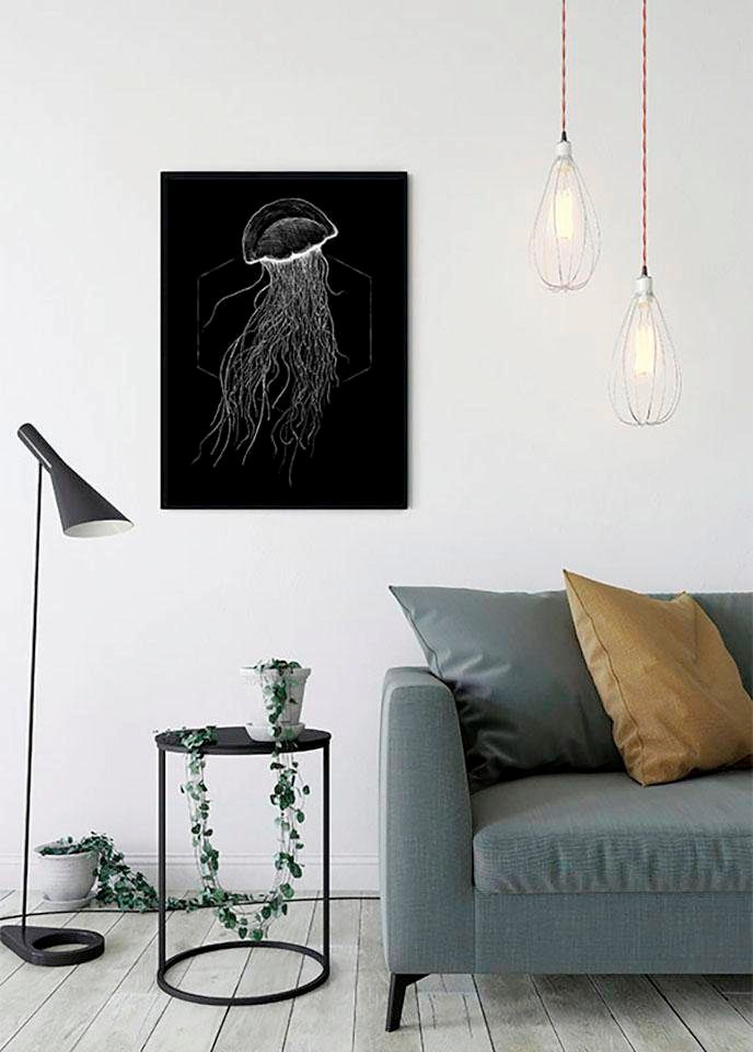 Komar Bild »Jellyfish Black« Tiere 1 Stk. tlg. Wandbild zur Dekoration - ohne Rahmen