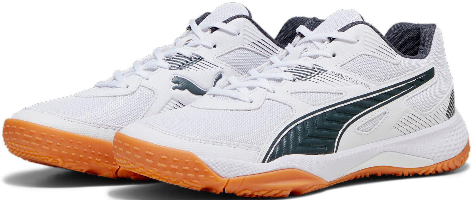 puma universal indoor