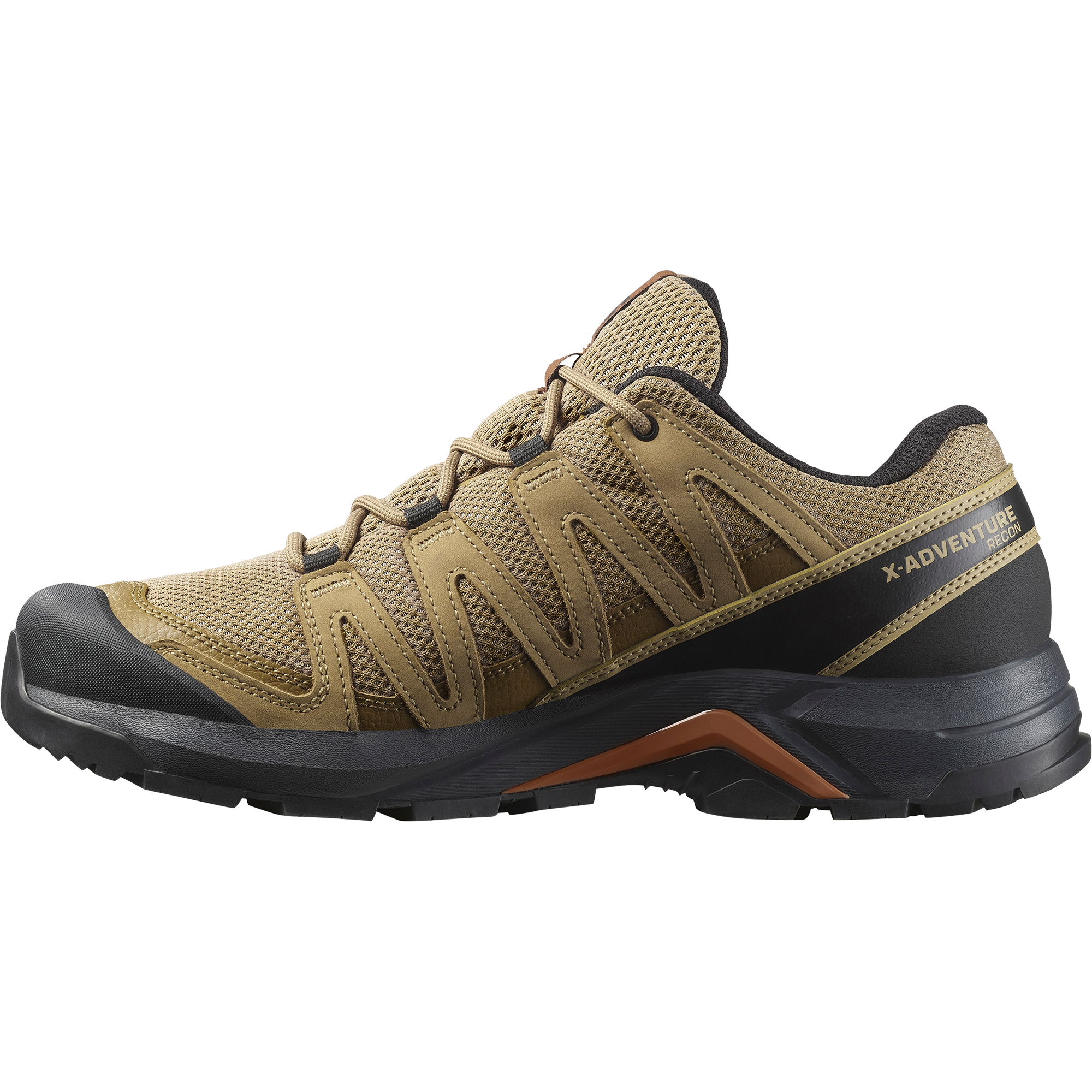 Salomon Wanderschuh »X-ADVENTURE RECON GORE-TEX«, wasserdicht