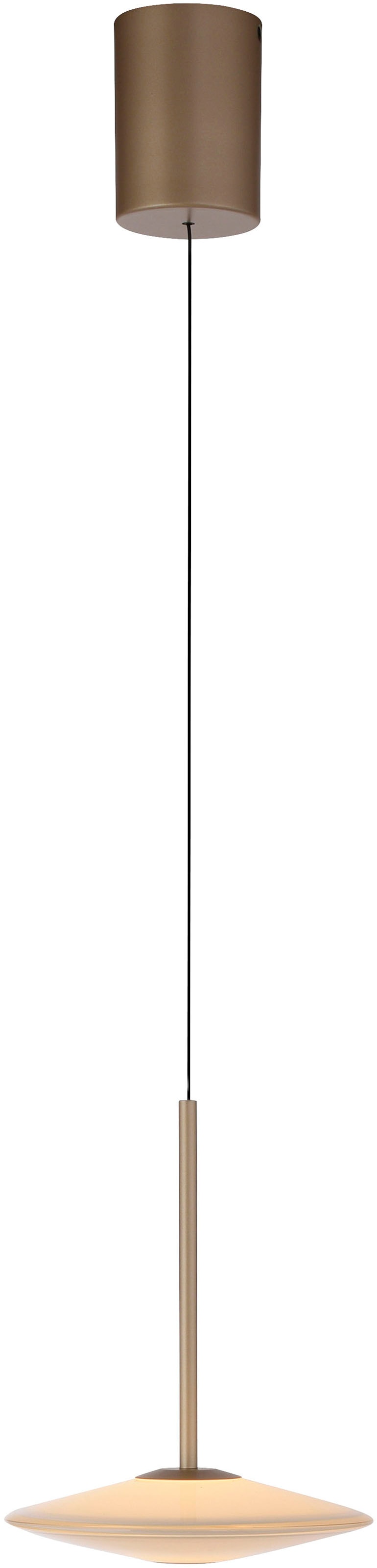 Paul Neuhaus LED Pendelleuchte »ELIPSA« LED-Board 1 Stk. Warmweiß Dimmfähig über separaten Tronicdimmer, Comfort-Lift