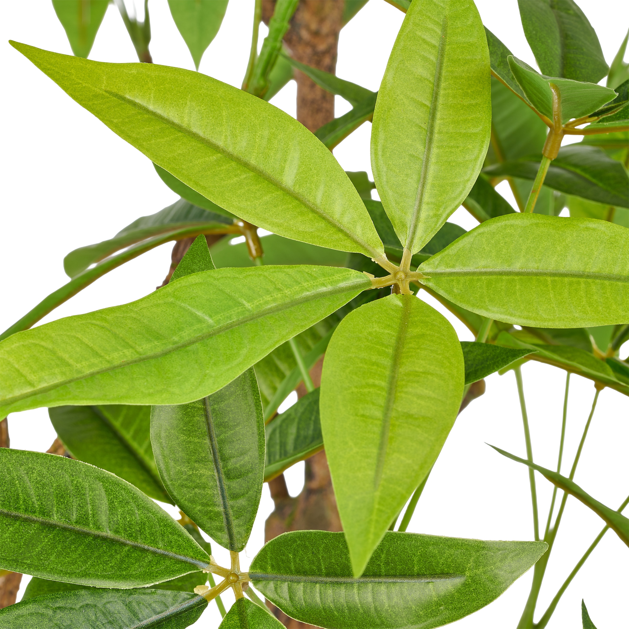 Creativ green Kunstbaum »Pachira« mit detailgetreuem Stamm