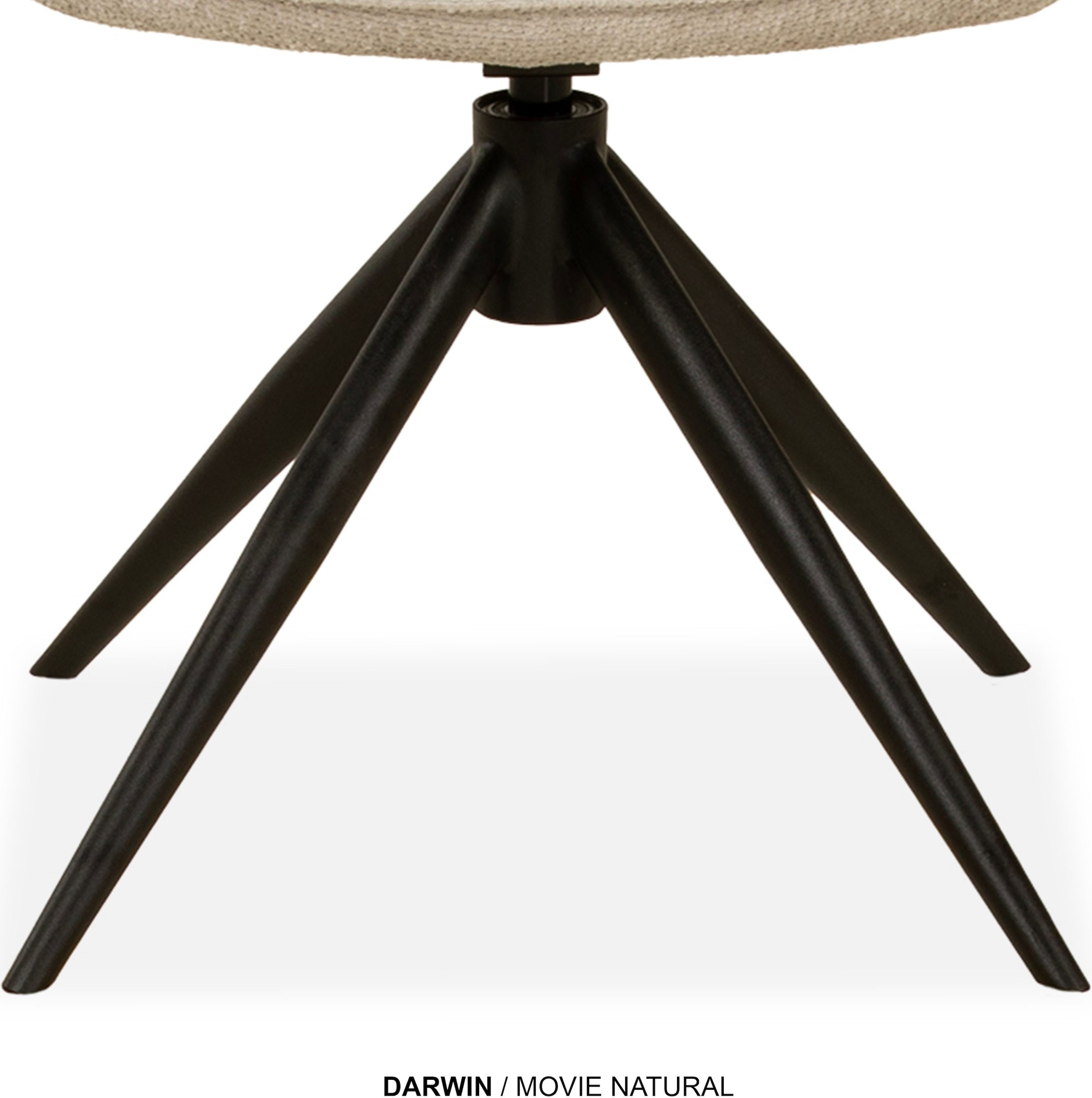 OMG Design Esszimmerstuhl »Darwin« (Set) 2 Stk.Drehstuhl mit auto-return, Armlehnenstuhl