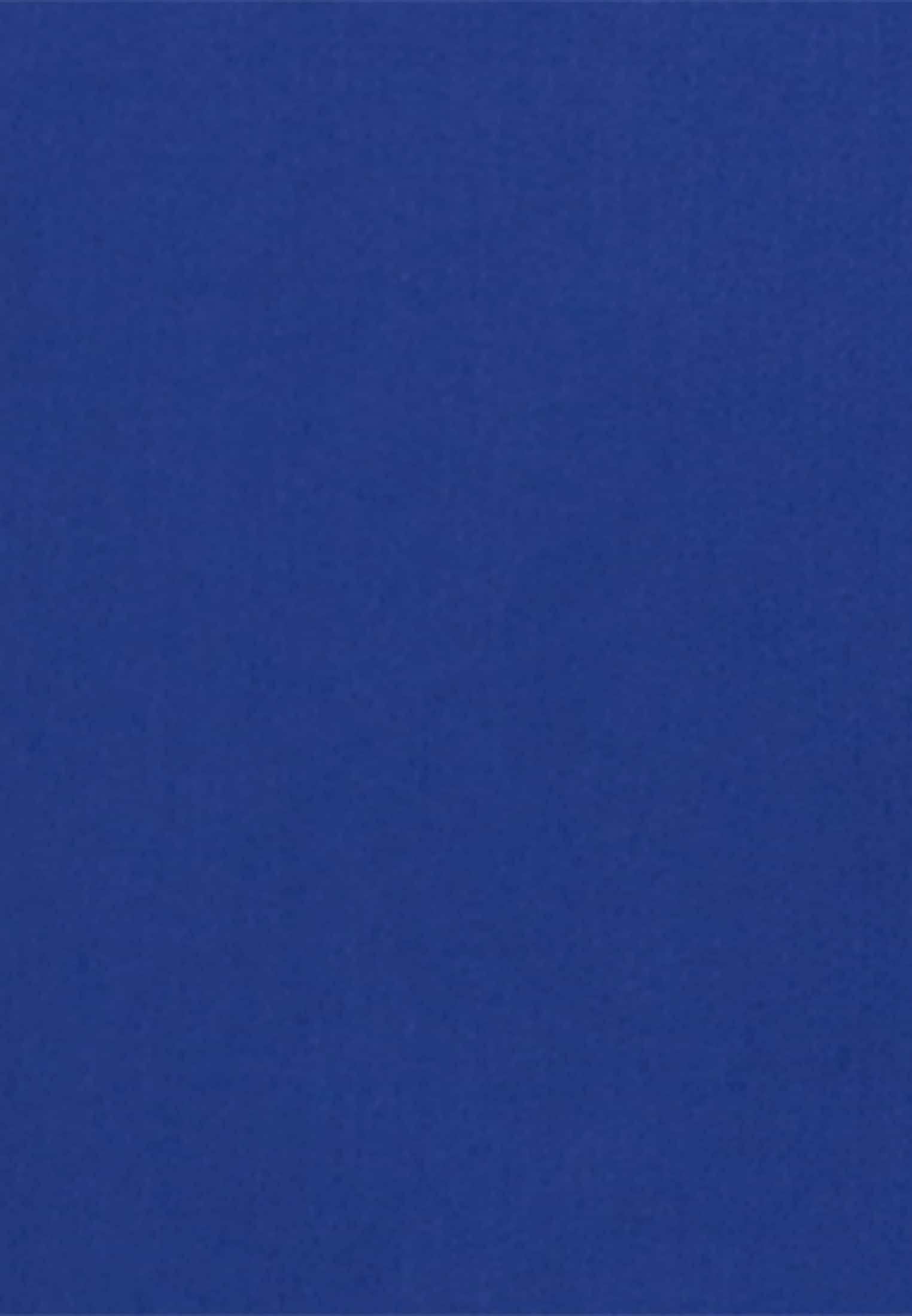 seidensticker Sommerkleid »Schwarze Rose« Langarm Kragen Uni