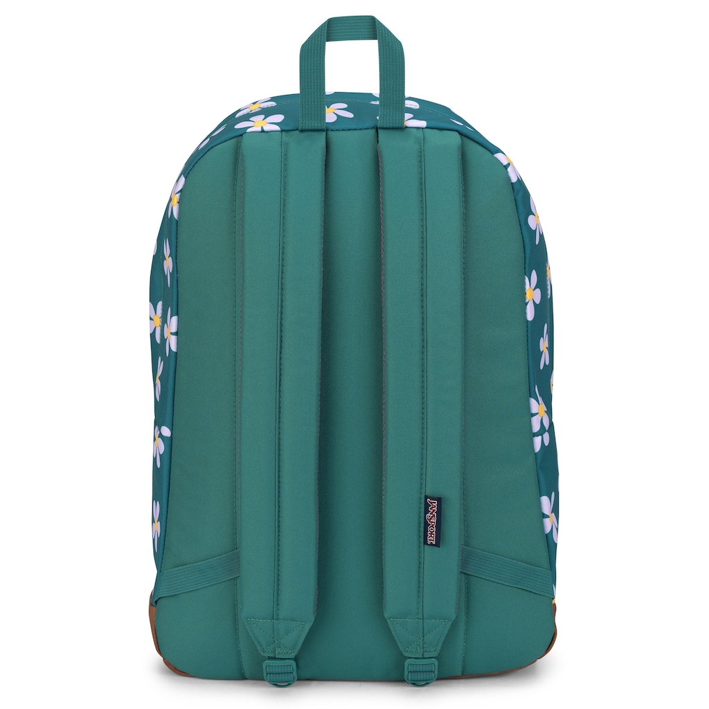 Jansport Freizeitrucksack »Cortlandt«