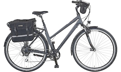 E-Bike »Entdecker e9000 Damen«, 8 Gang, Shimano, Acera, Heckmotor 250 W