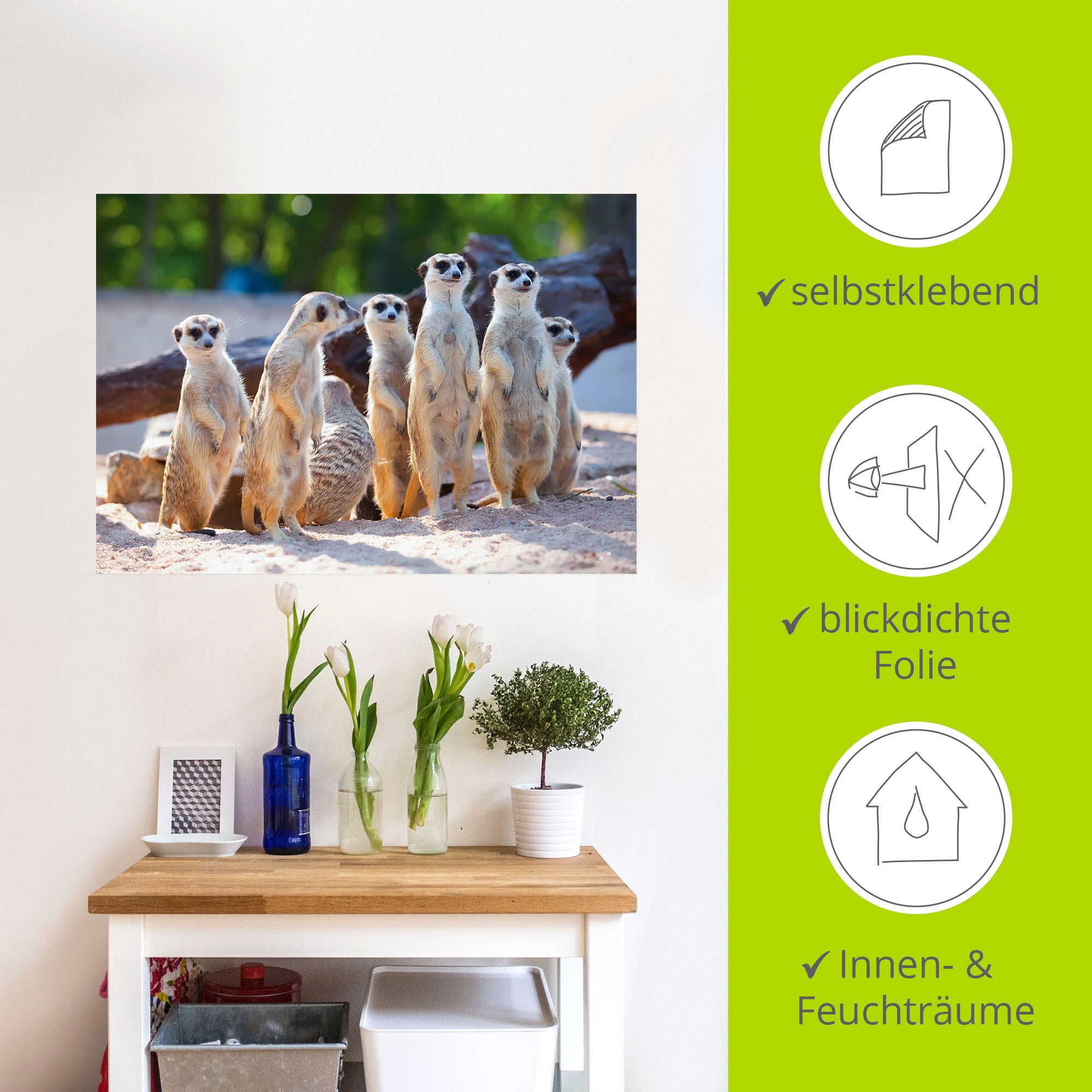 Artland Wandbild »Erdmännchenfamilie«, Wildtiere, (1 St.), als Poster, Wandaufkleber in verschied. Größen