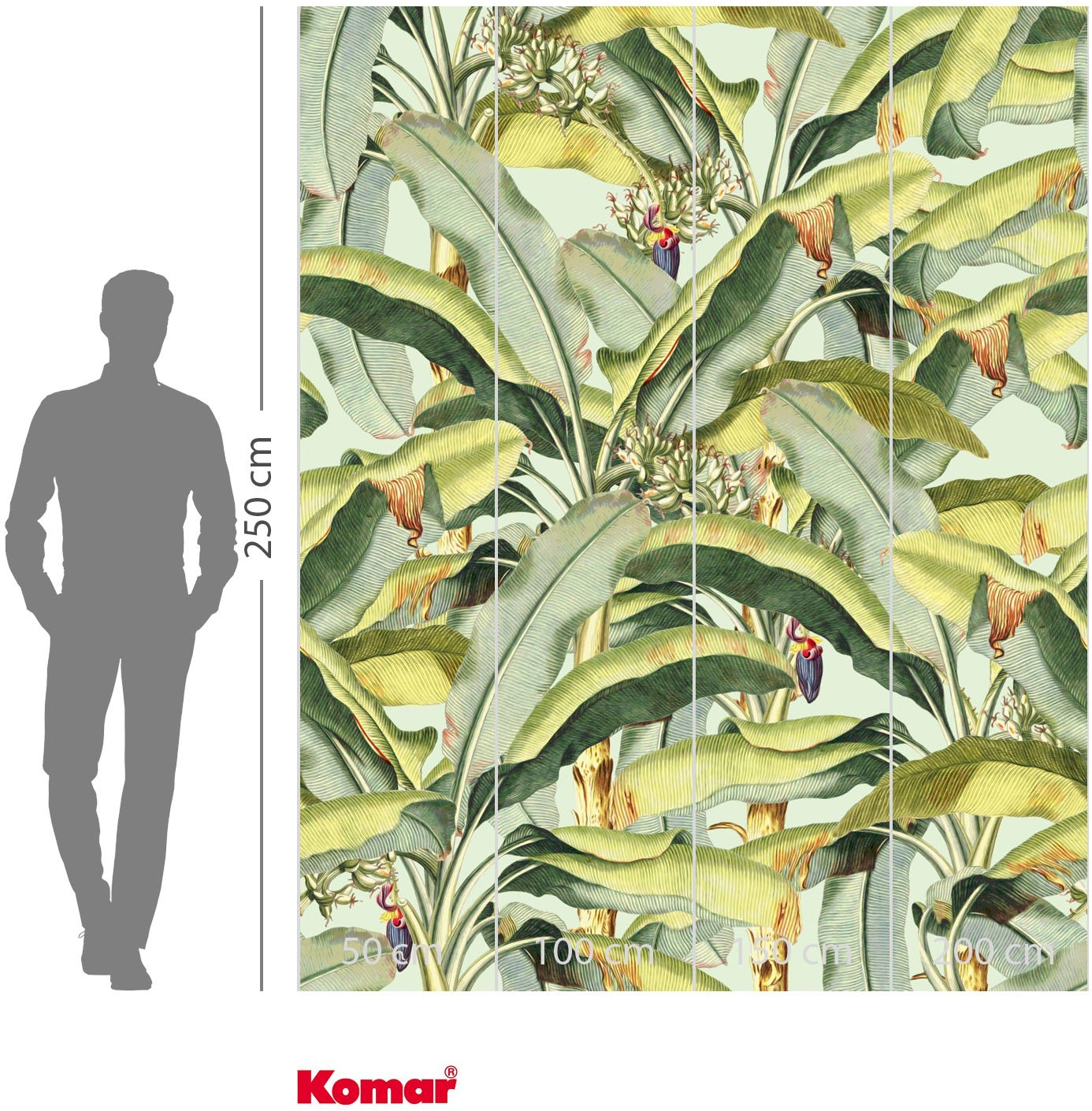 Komar Fototapete »Vlies Fototapete - Banana Grove - Größe 200 x 250 cm« Motiv | bedruckt glatt