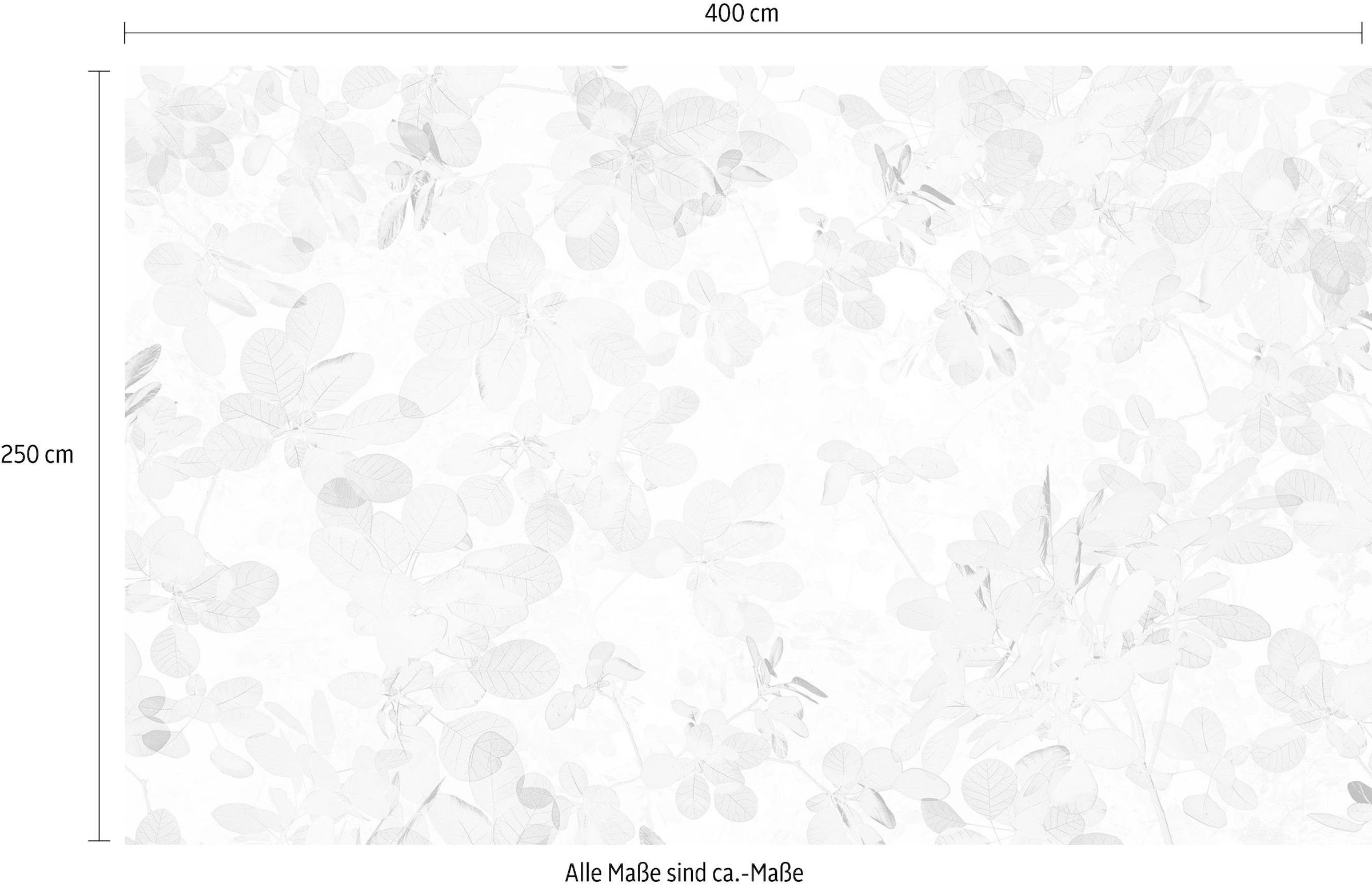 Komar Vliestapete »Digitaldruck Vlies - Sheer - Größe 400 x 250 cm«, bedruckt, Wohnzimmer, Schlafzimmer
