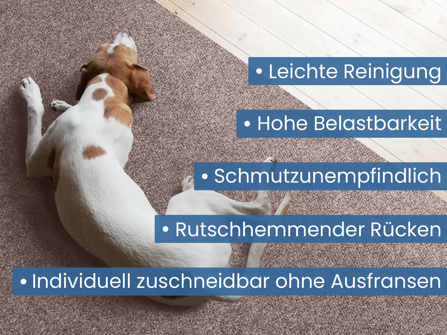 Primaflor-Ideen in Textil Läufer »Schmutzfangläufer PICOLLO, Made in Belgium«, rechteckig, 8 mm Höhe, Schmutzfangmatte, meliert, strapazierfähig, rutschhemmend