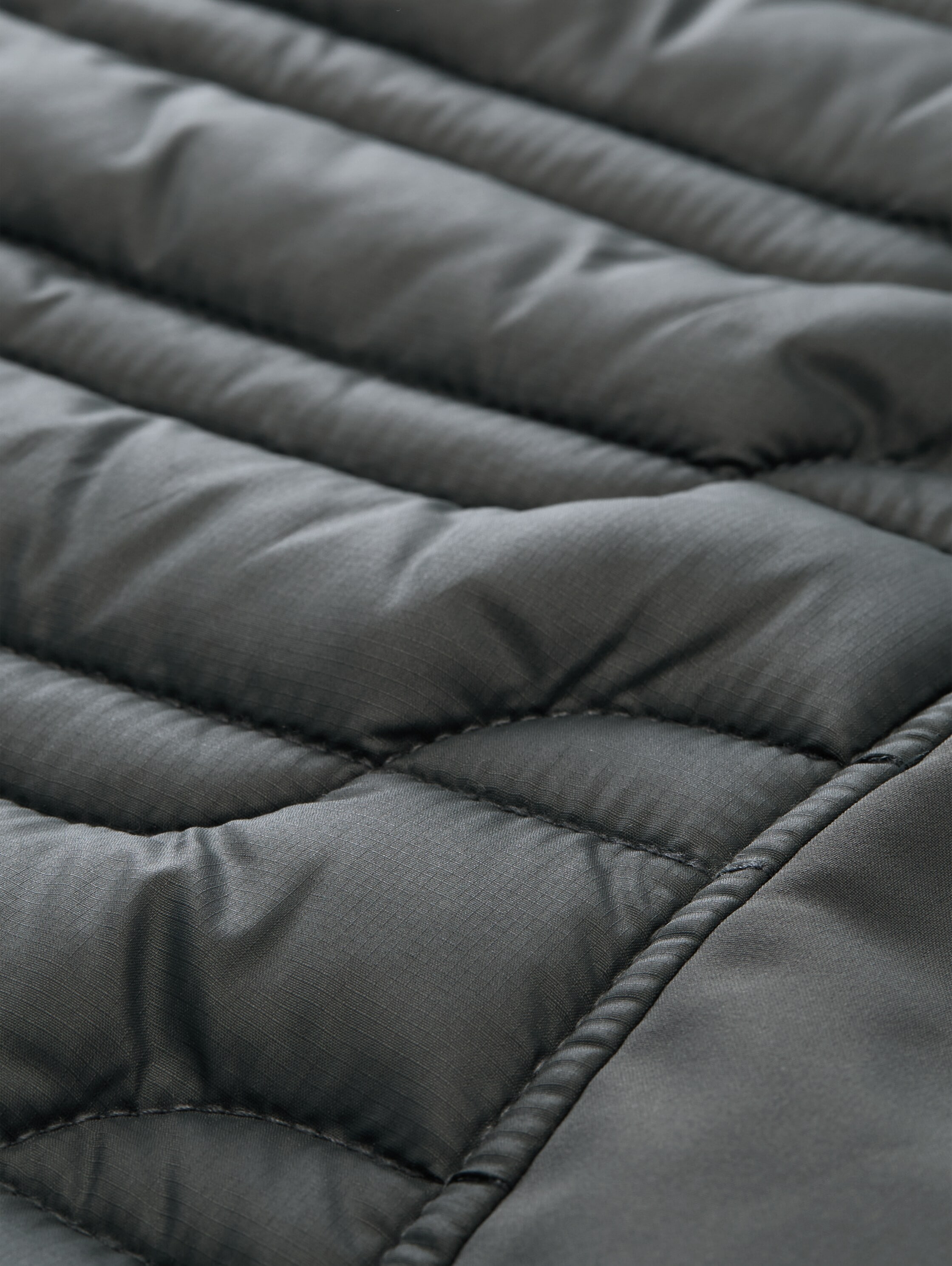TOM TAILOR Steppjacke ohne Kapuze mit Stehkragen und Reißverschluss