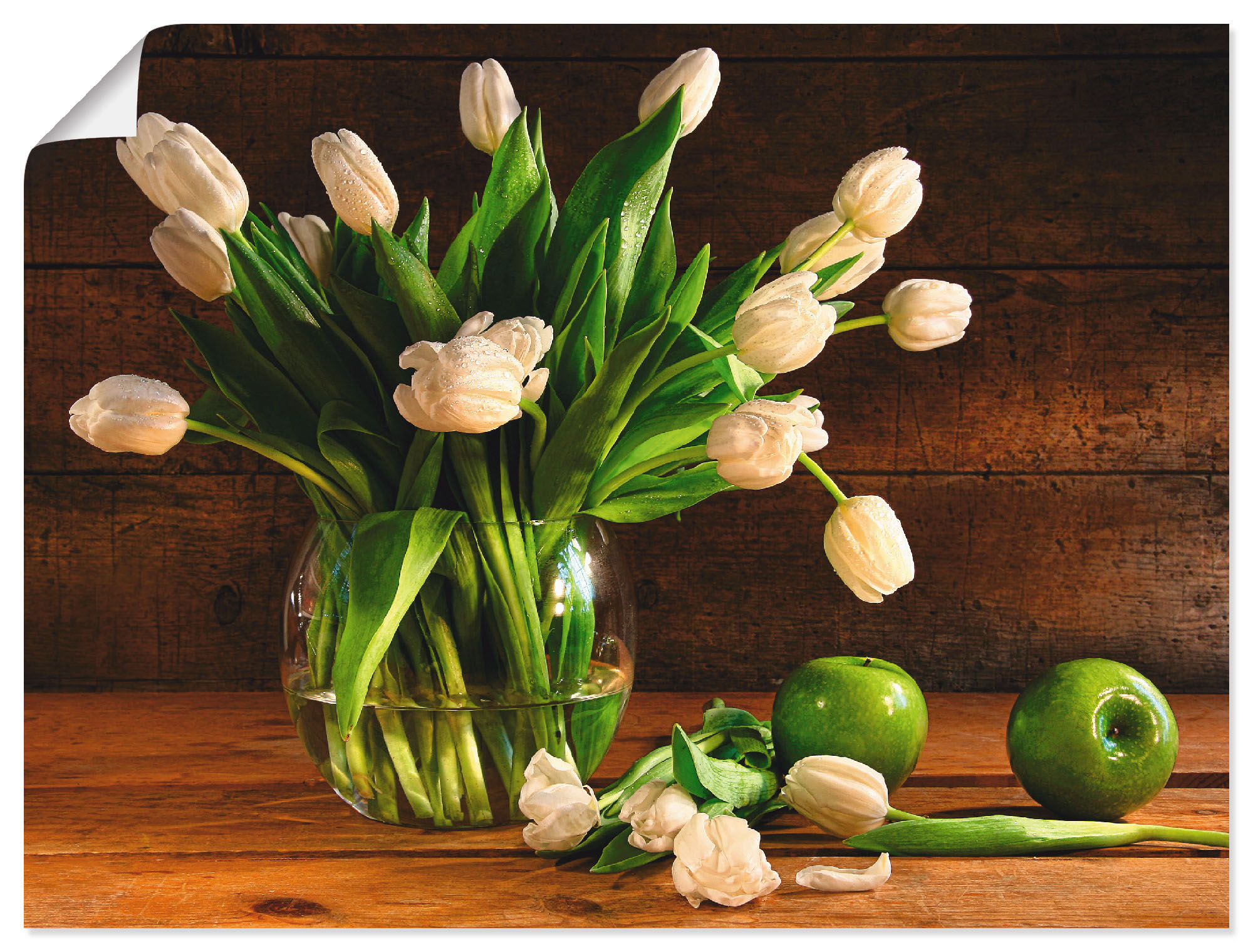 Artland Wandbild »Weiße Tulpen«, Blumen, (1 St.), als Alubild, Leinwandbild,  Wandaufkleber oder Poster in versch. Größen auf Raten bestellen