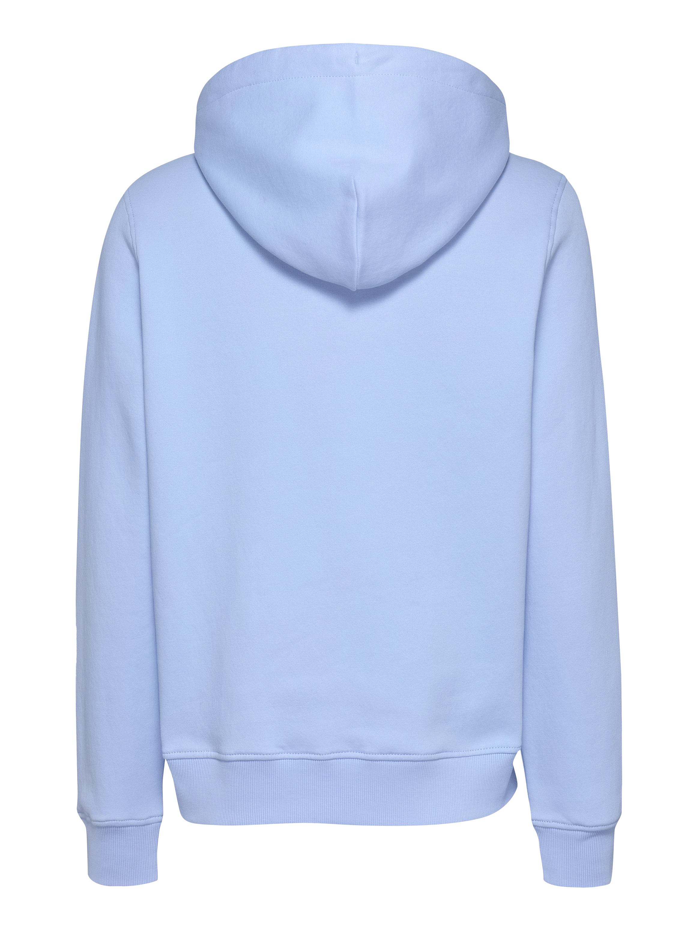 Tommy Jeans Kapuzensweatshirt »TJW REG LINEAR HOODIE«, mit Logoschriftzug