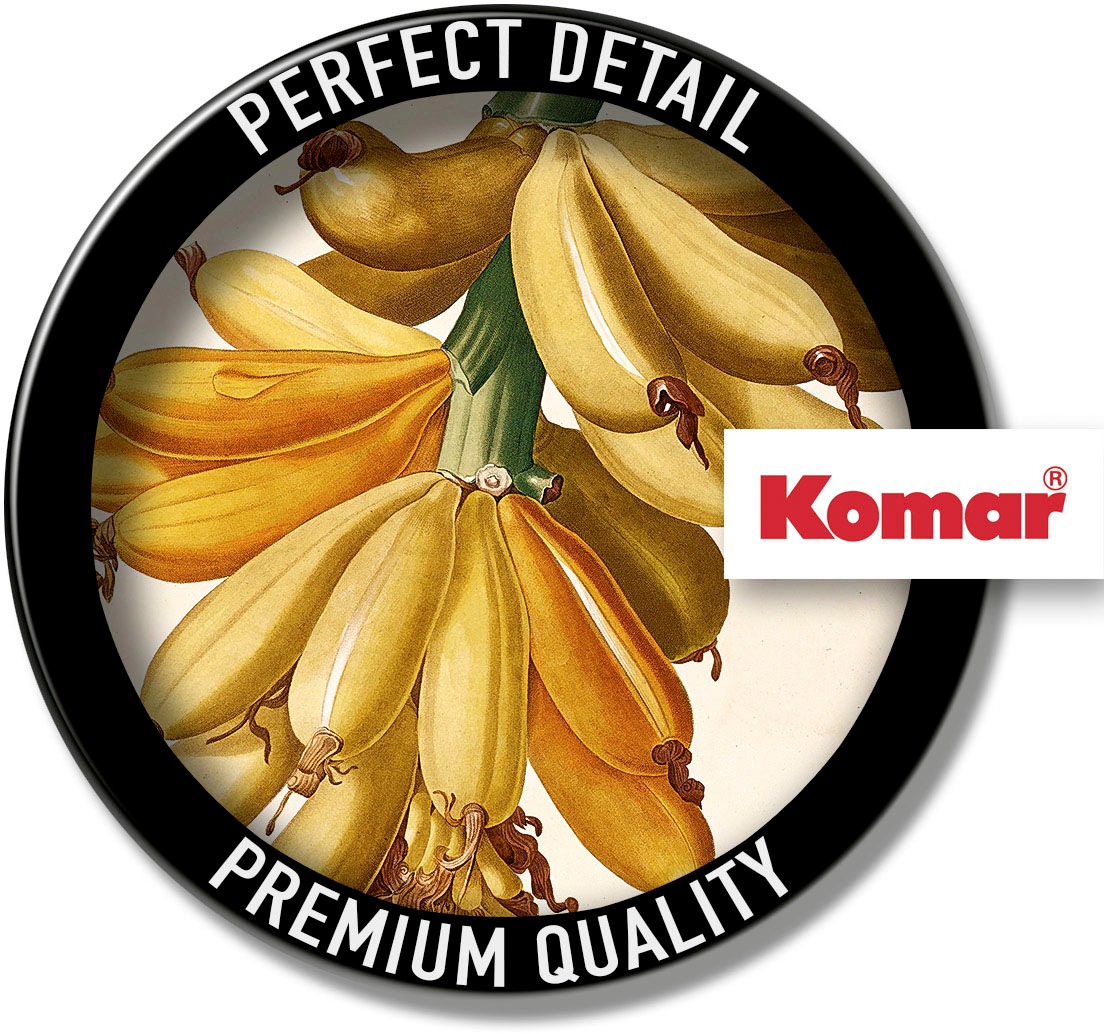 Komar Bild »Plantains«, Natur, (1 St.), Wandbild zur Dekoration - ohne Rahmen