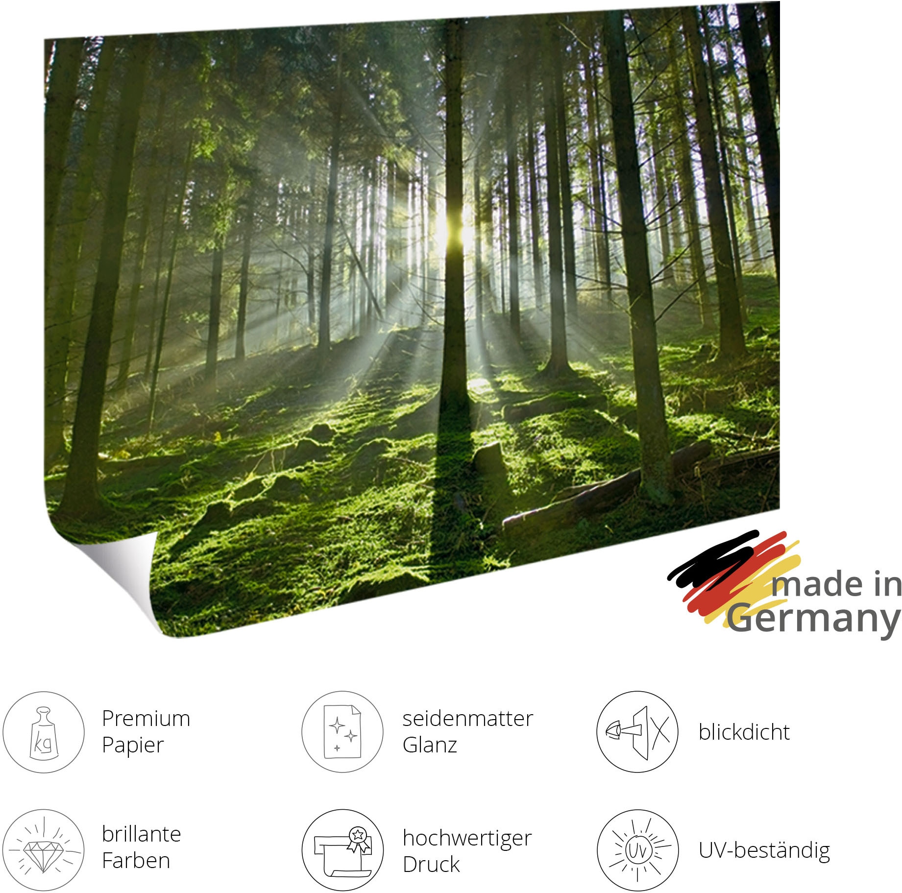 Artland Wandbild »Craft Beer« 1 Stk. tlg. als Alubild, Leinwandbild, Poster, Wandaufkleber in verschied. Größen