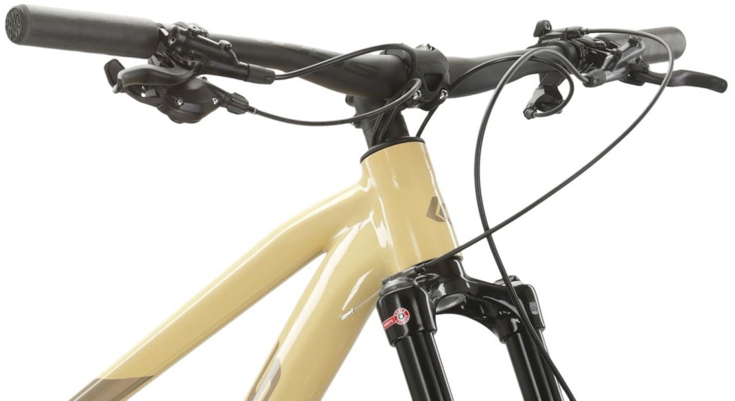 Kross Mountainbike »KROSS MTB Hardtail Level 6.0 29" braun 12 Gänge«, 12 Gang, SRAM, NX EAGLE Schaltwerk, Kettenschaltung