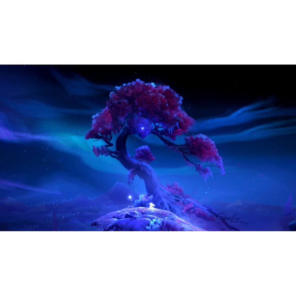 Skybound Games Spielesoftware »Ori and the Will of the Wisps«, Nintendo Switch