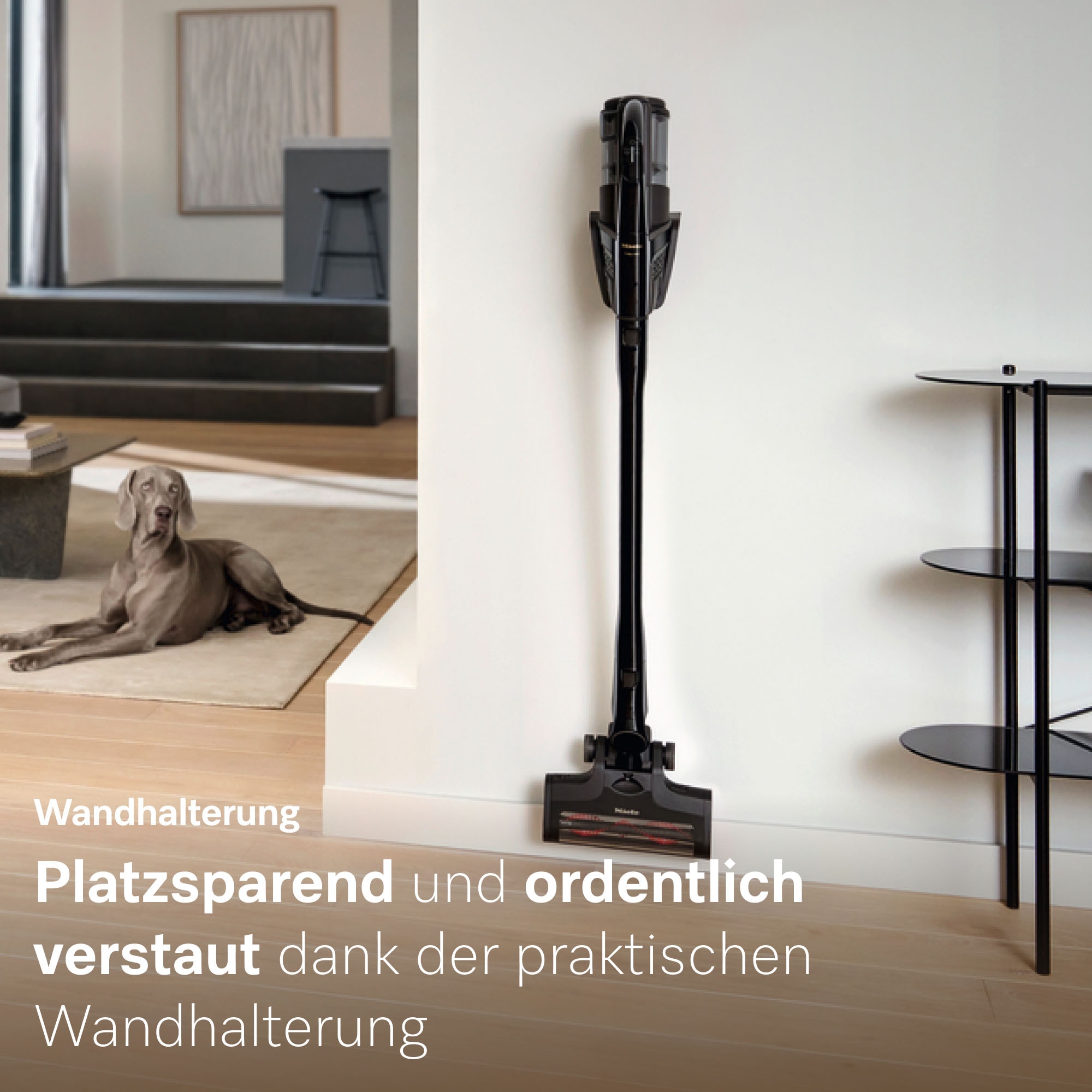 Miele Akku-Stielstaubsauger »Triflex HX3 Cat & Dog«