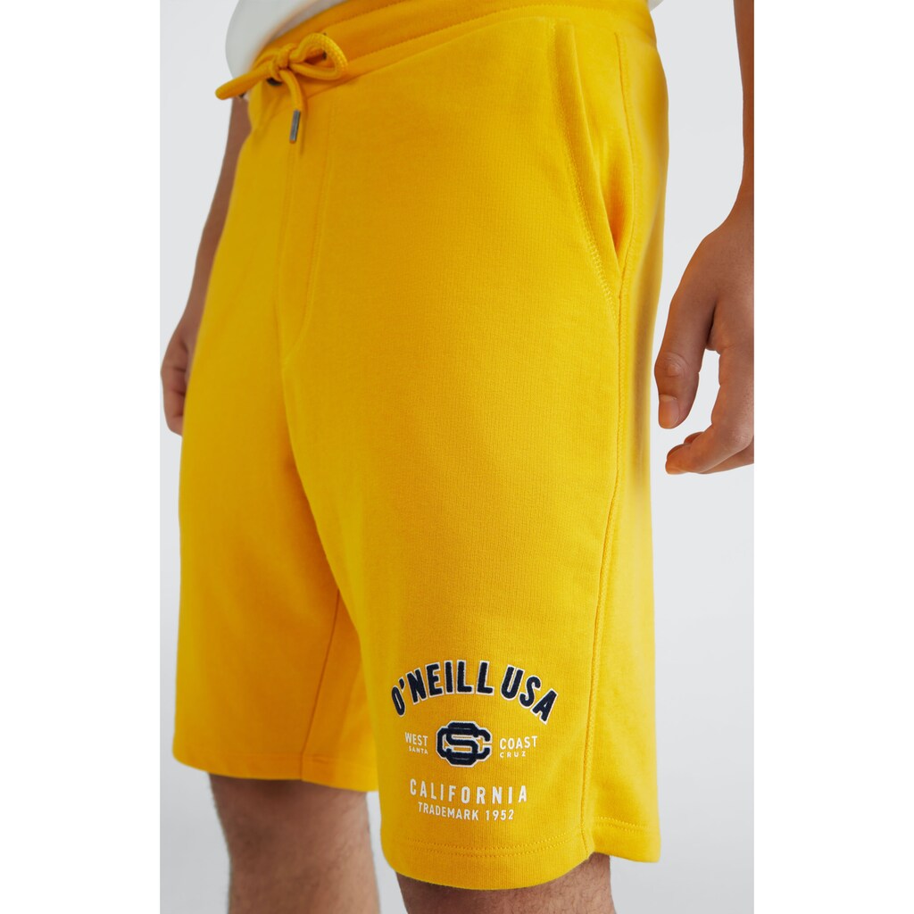 O'Neill Shorts »STATE JOGGER SHORT«