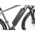 Prophete E-Bike »ENTDECKER 22.EST.05«, 8 Gang, Shimano, Altus, Heckmotor 250 W