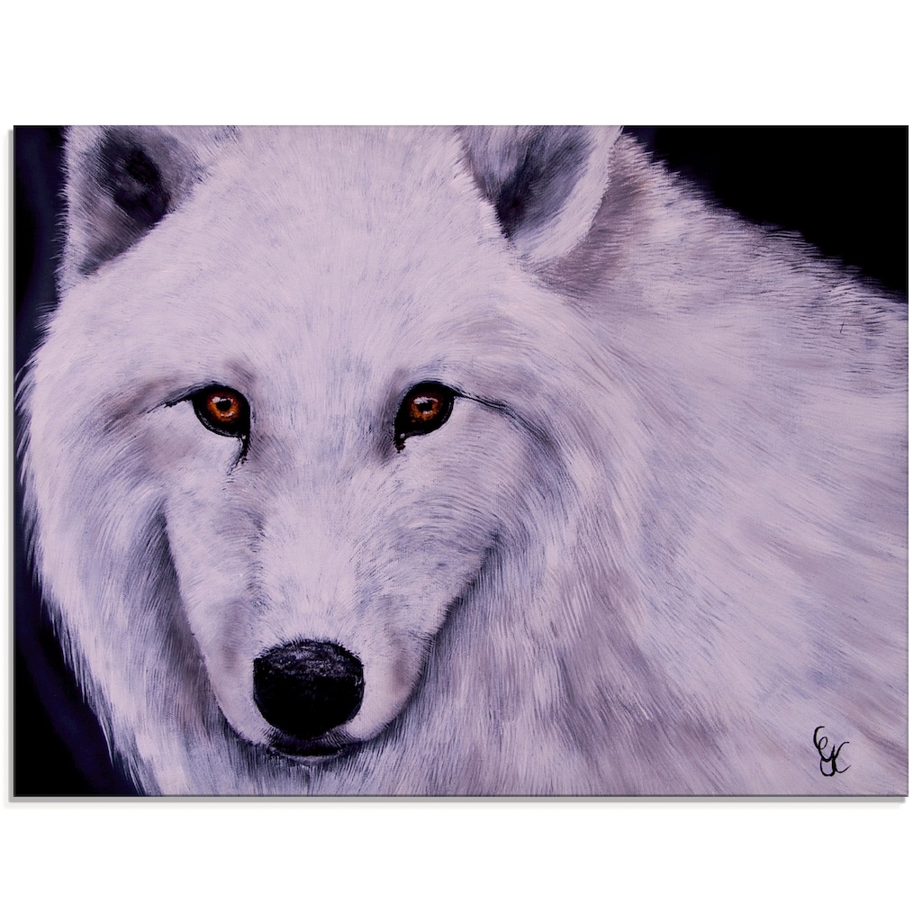 Artland Glasbild »Weißer Wolf«, Wildtiere, (1 St.)