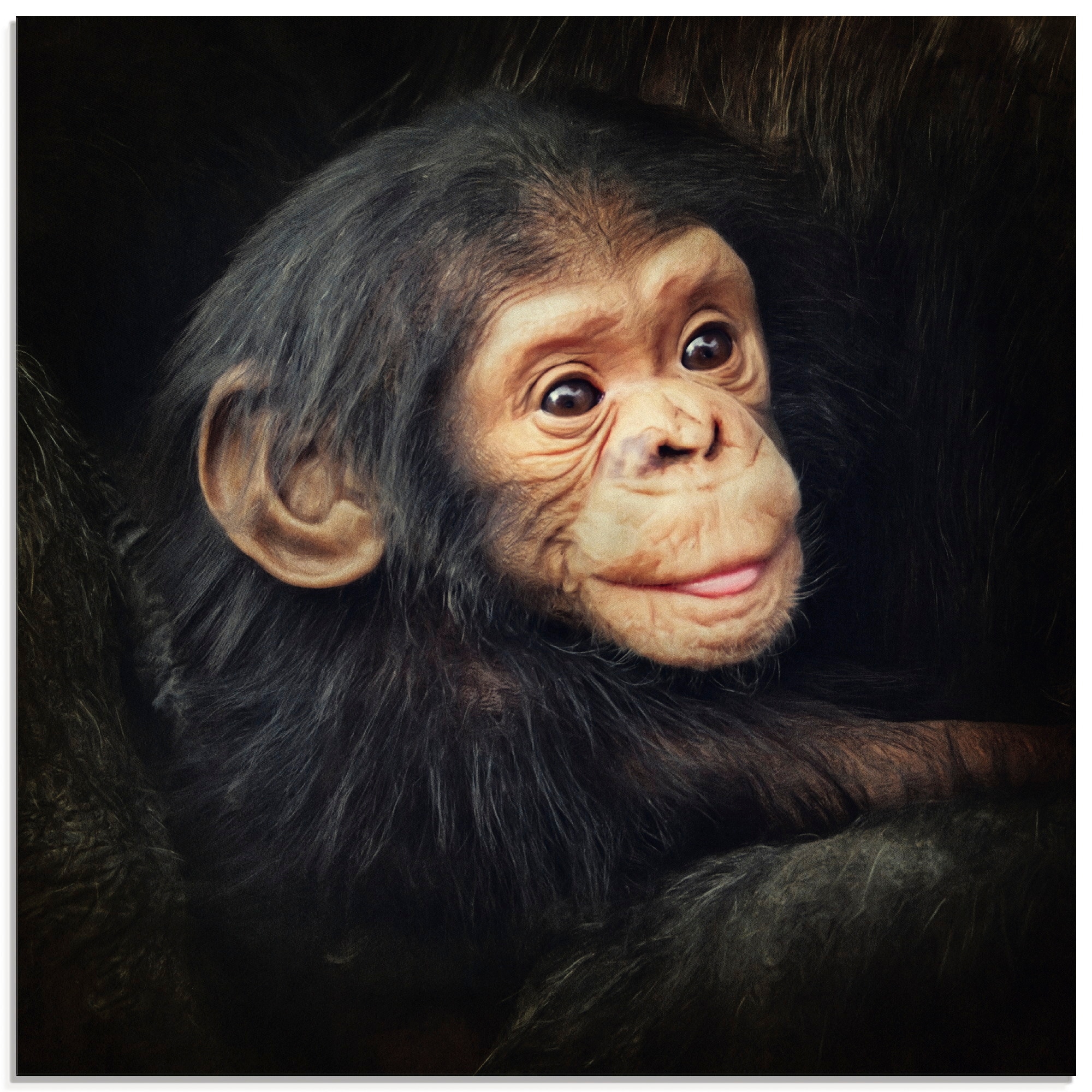 Glasbild »Kleiner Schimpanse«, Wildtiere, (1 St.), in verschiedenen Größen