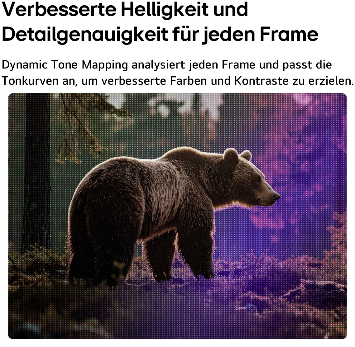 LG LED-Fernseher »43LB65006LA« 109 cm/43 ″ Full HD Smart-TV
