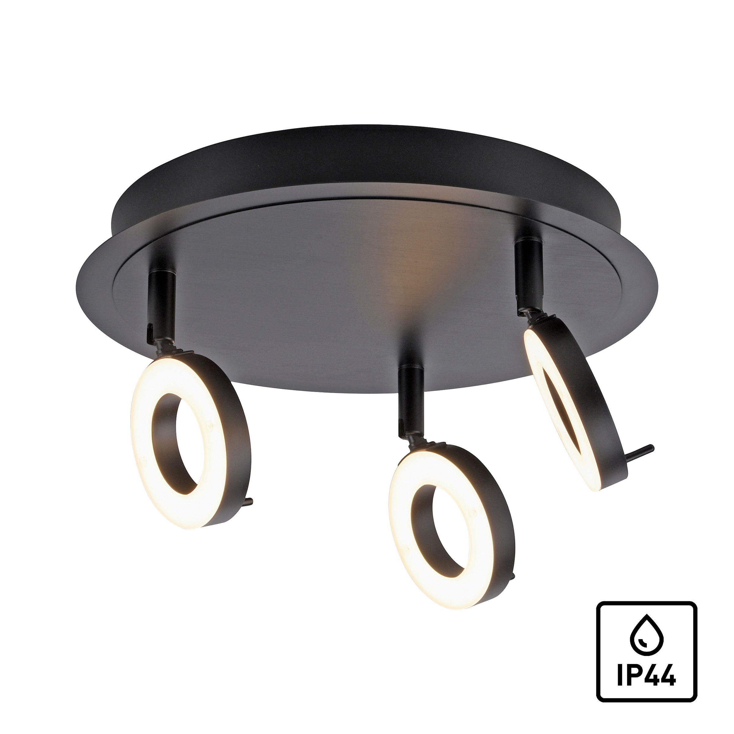 Paul Neuhaus Deckenleuchte »SILEDA«, 3 flammig, Leuchtmittel LED-Board | LED fest integriert, LED, IP44