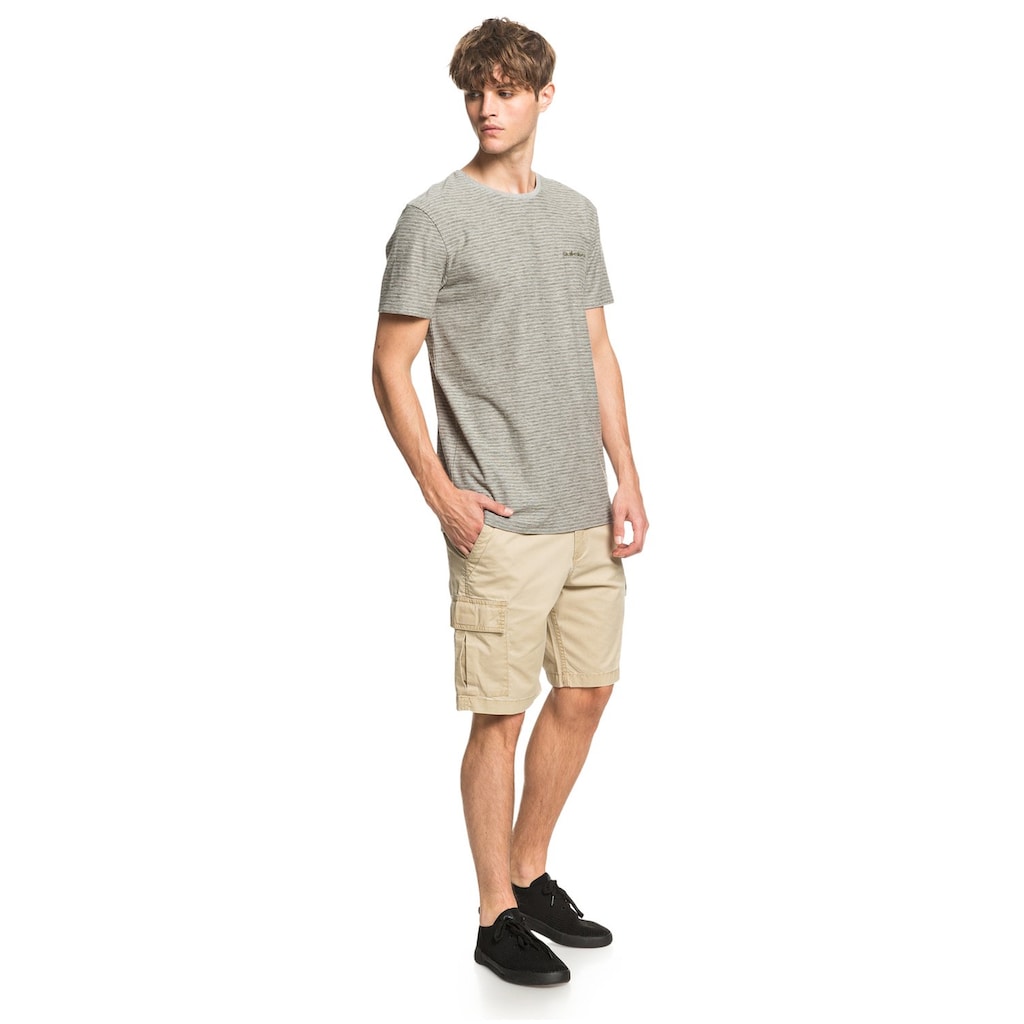 Quiksilver T-Shirt »Kentin«