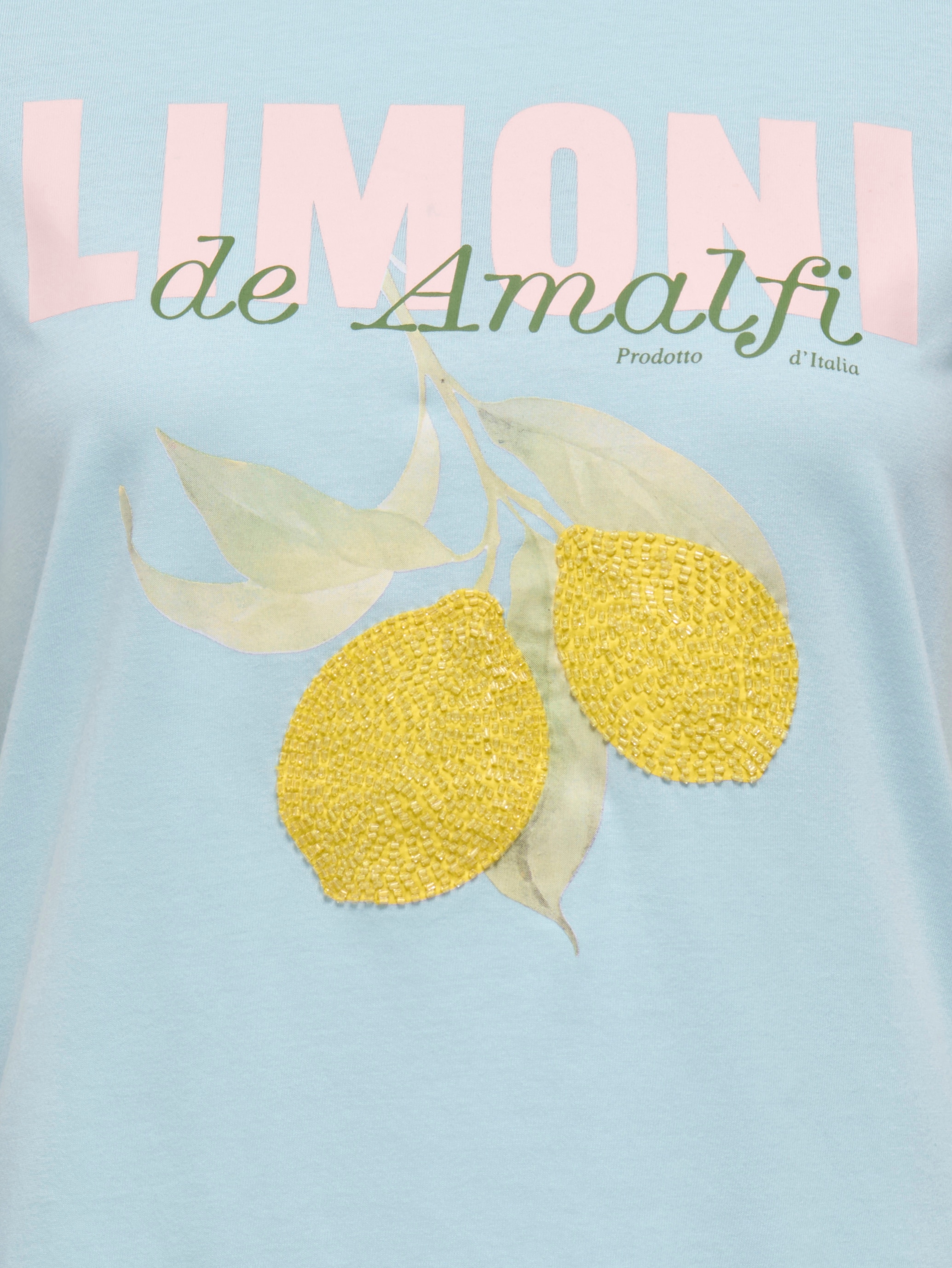 ONLY CARMAKOMA Kurzarmshirt »CARKITA LIFE S/S PEARL TOP JRS«