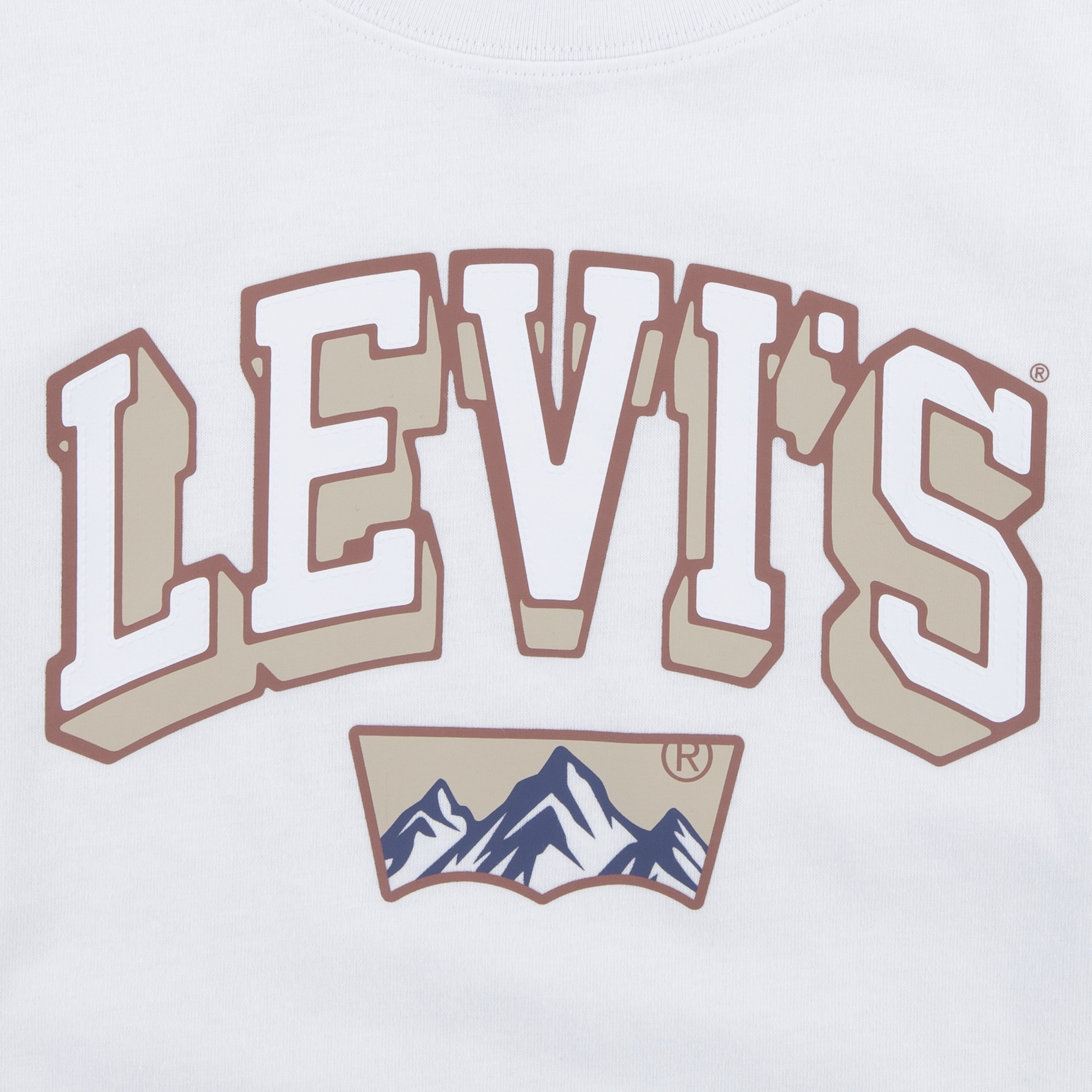 Levi's® Kids Langarmshirt »LVB ACADEMIC ADVENTURER LS TEE«, mit großem Logoprint, aus Baumwolle - for Boys