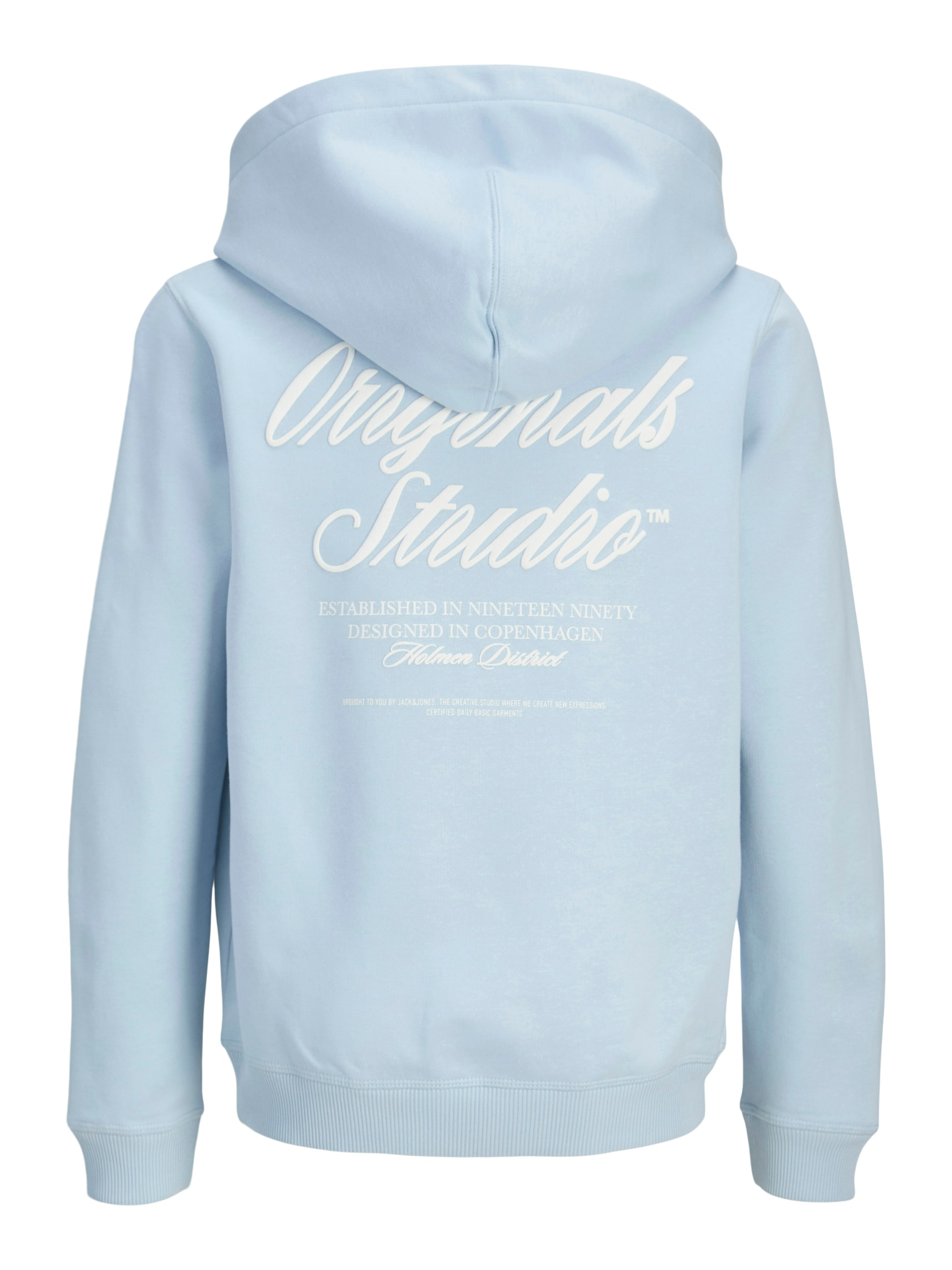Jack & Jones Junior Kapuzensweatshirt »JORNORREBRO TYPO BACK SWEAT HOOD SN JNR«, Baumwollmischung, relaxed fit, Langarm
