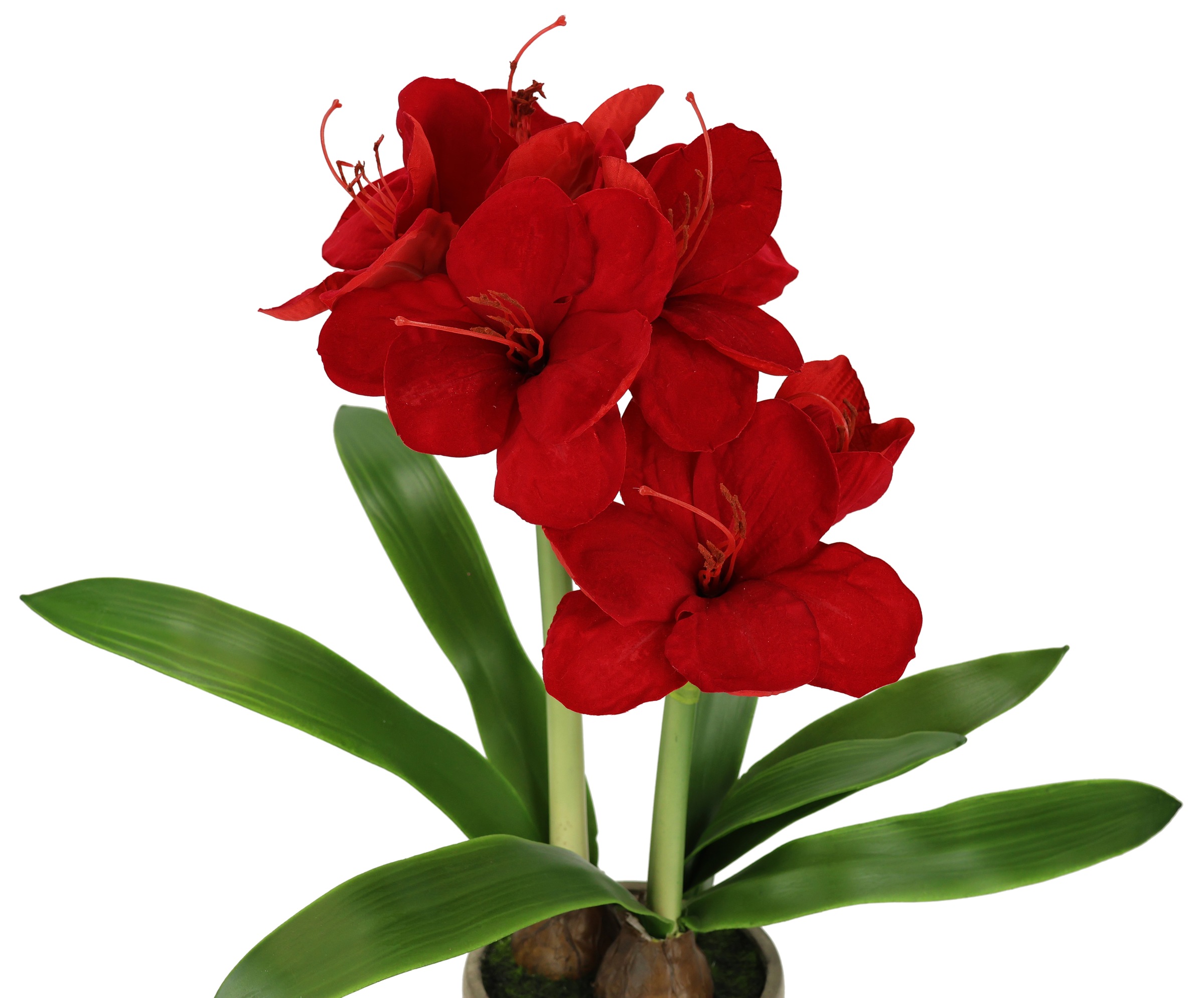 I.GE.A. Kunstblume »Amaryllis im Topf«, 50cm Blume Weihnachtsblume Weihnachtsdeko Winterblume Floristik