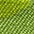 bunt