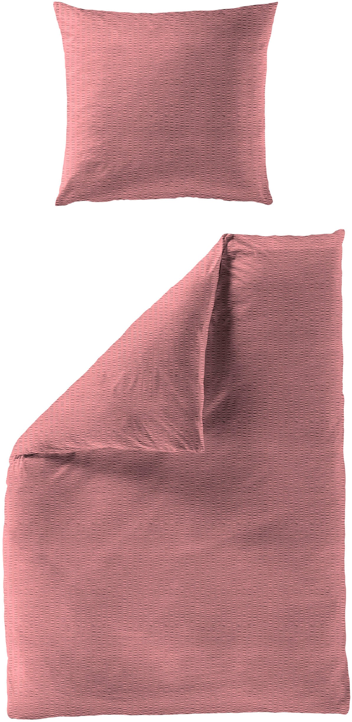 BIERBAUM Bettwäsche "Chic Uni" 2 Stk. Schickes Unidesign: Modern und elegant für jedes Schlafzimmer