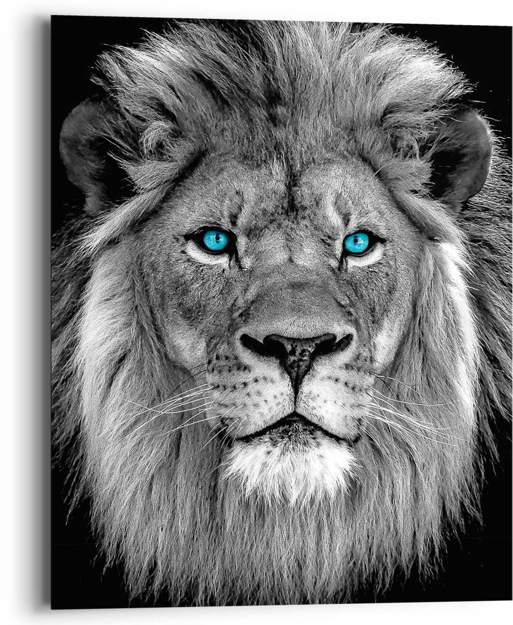 Reinders! Wandbild »Löwe mit bequem blaue Augen« bestellen