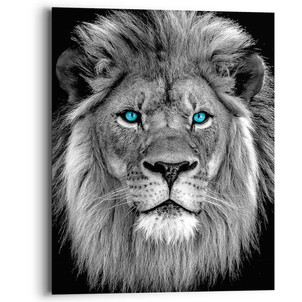 Reinders! Wandbild »Löwe mit blaue Augen«