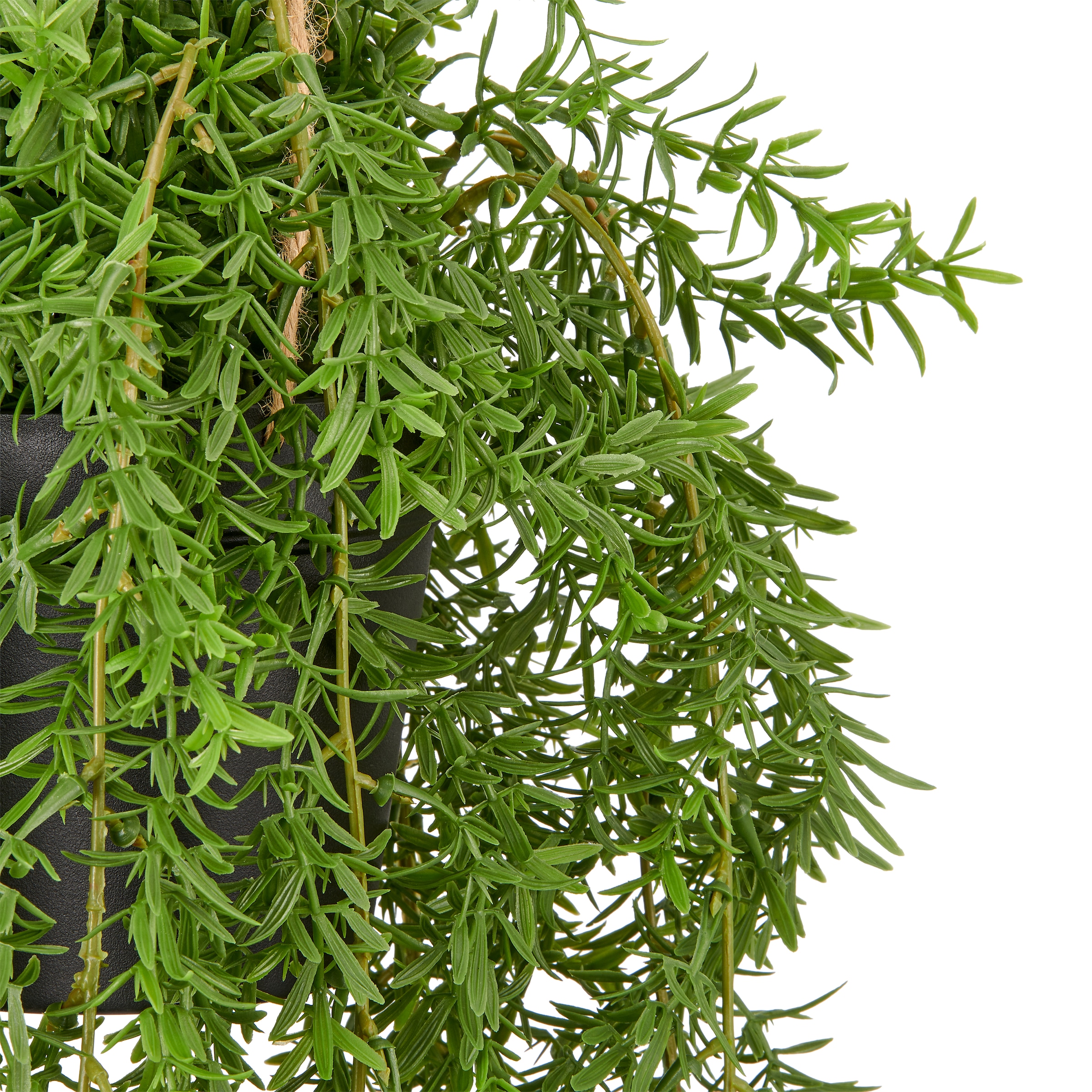 Creativ green Kunstpflanze »Hängepflanze Aeschynanthus« mit schönem Blattwerk