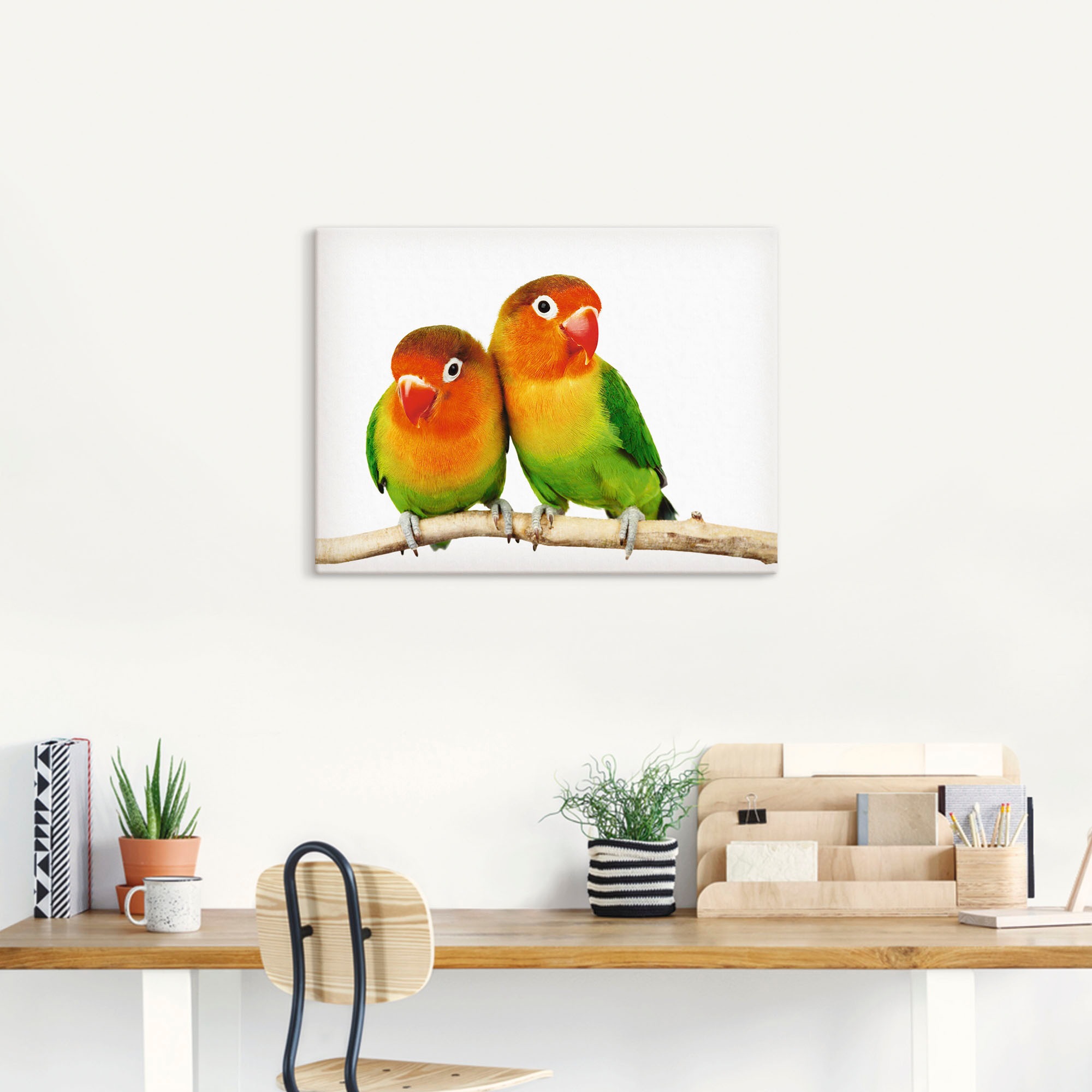 Artland Wandbild »Paar von Grauköpfchen - Papageien«, Vögel, (1 St.), als Leinwandbild, Poster, Wandaufkleber in verschied. Größen