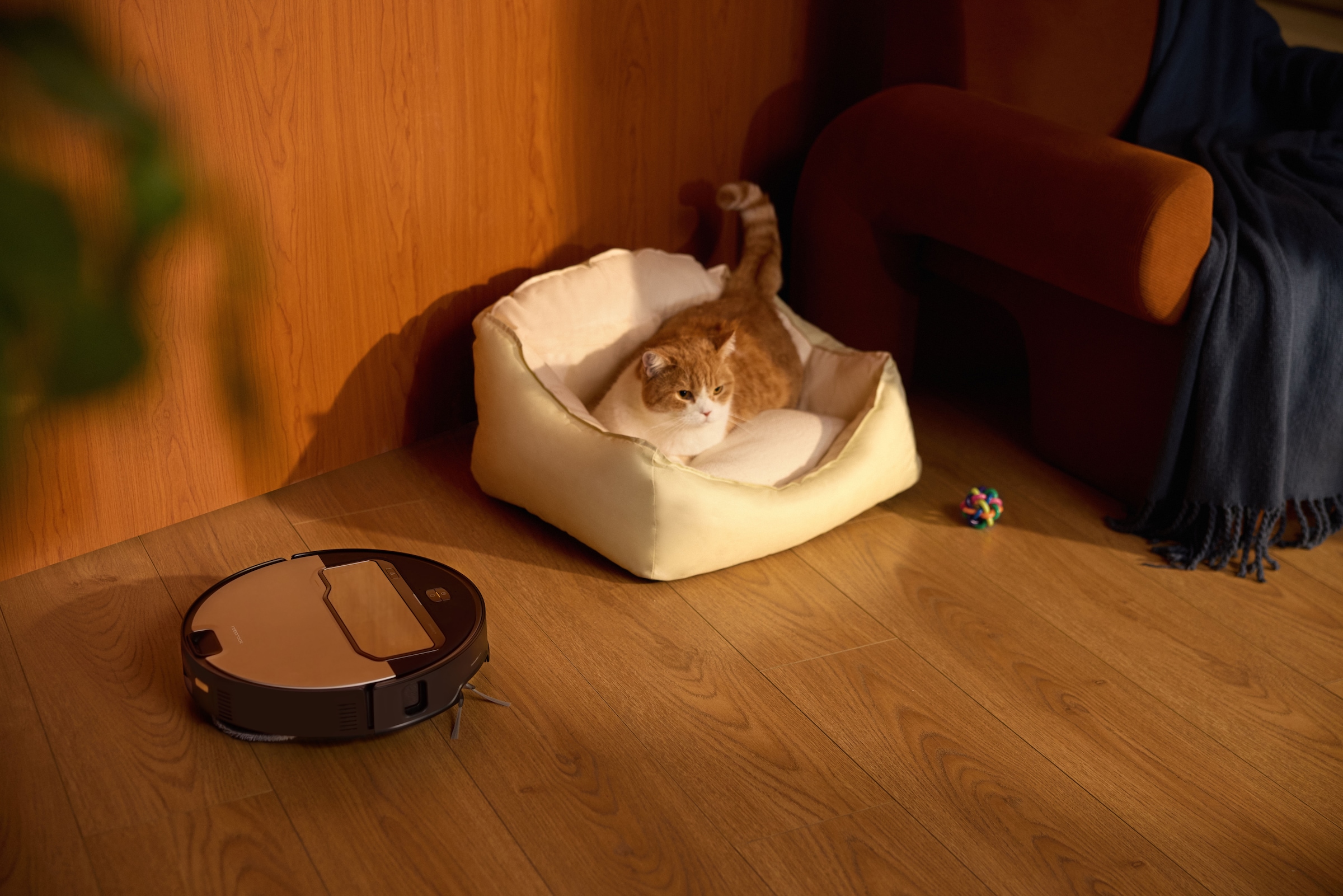 Roborock Saugroboter »Roborock Saros Z70 R&D system mit Wischfunktion«