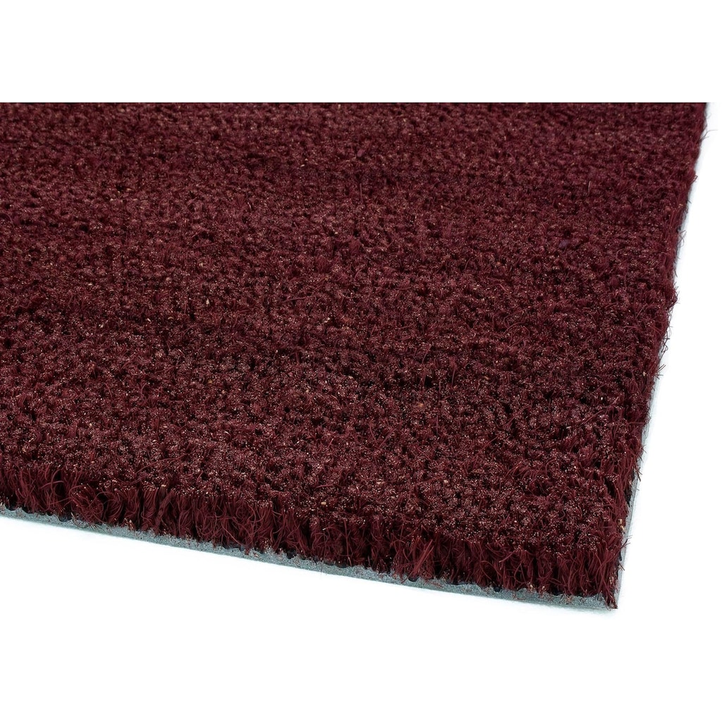 Primaflor-Ideen in Textil Fußmatte »KOKOS 17«, rechteckig