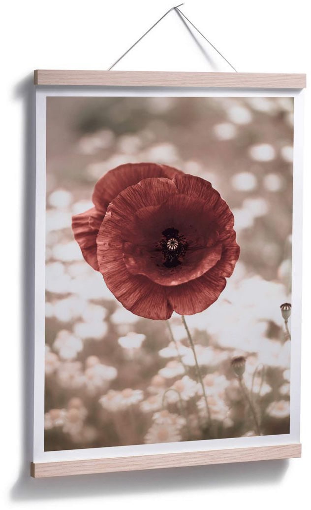 »Mohnblumen kaufen Wall-Art (1 Blumen, Portrait«, St.) Poster bequem